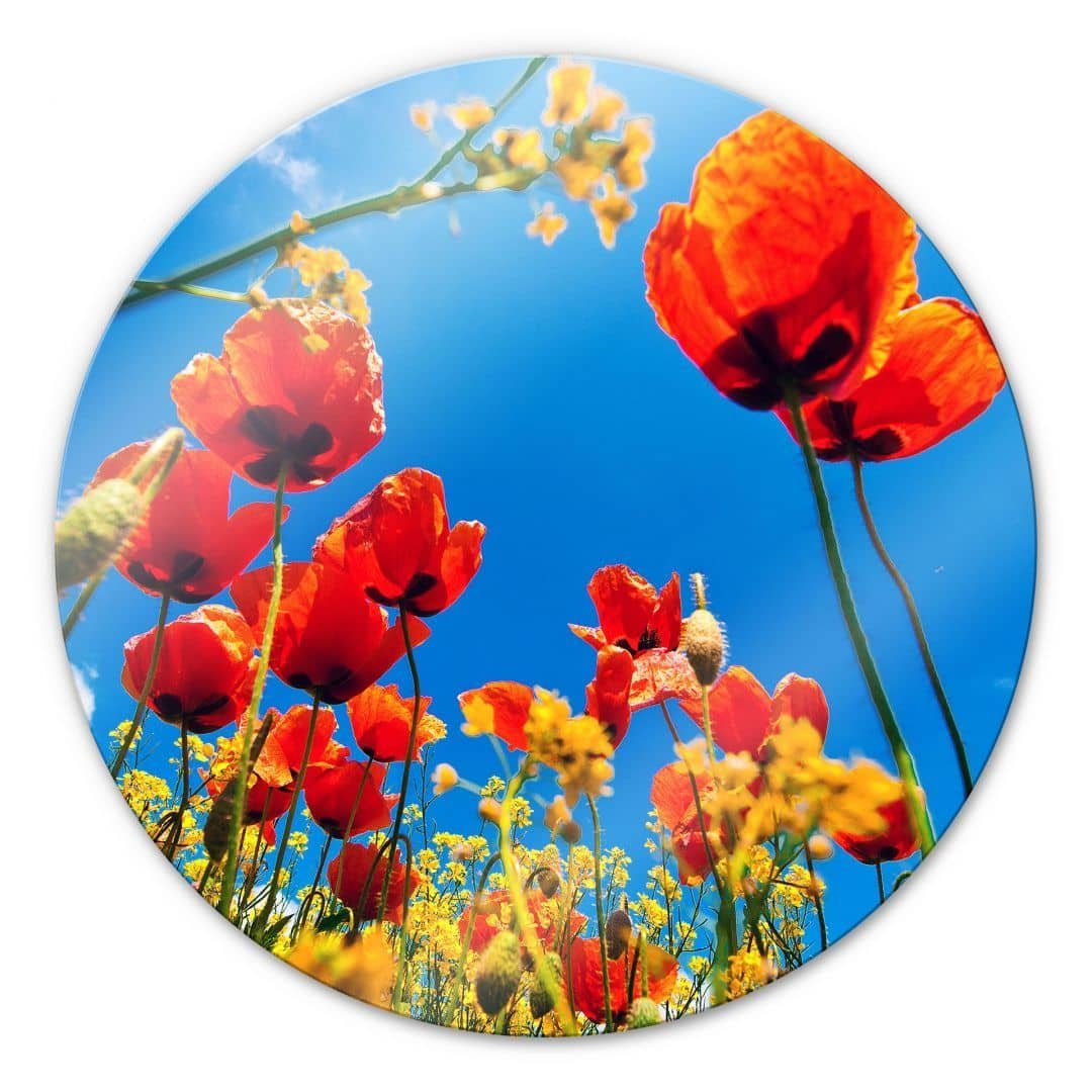 K&L Wall Art Gemälde Glas Wandbild Rund Glasbild Büro Mohnblumen Rapsfeld Blumen, Wandschutz Deko Bilder