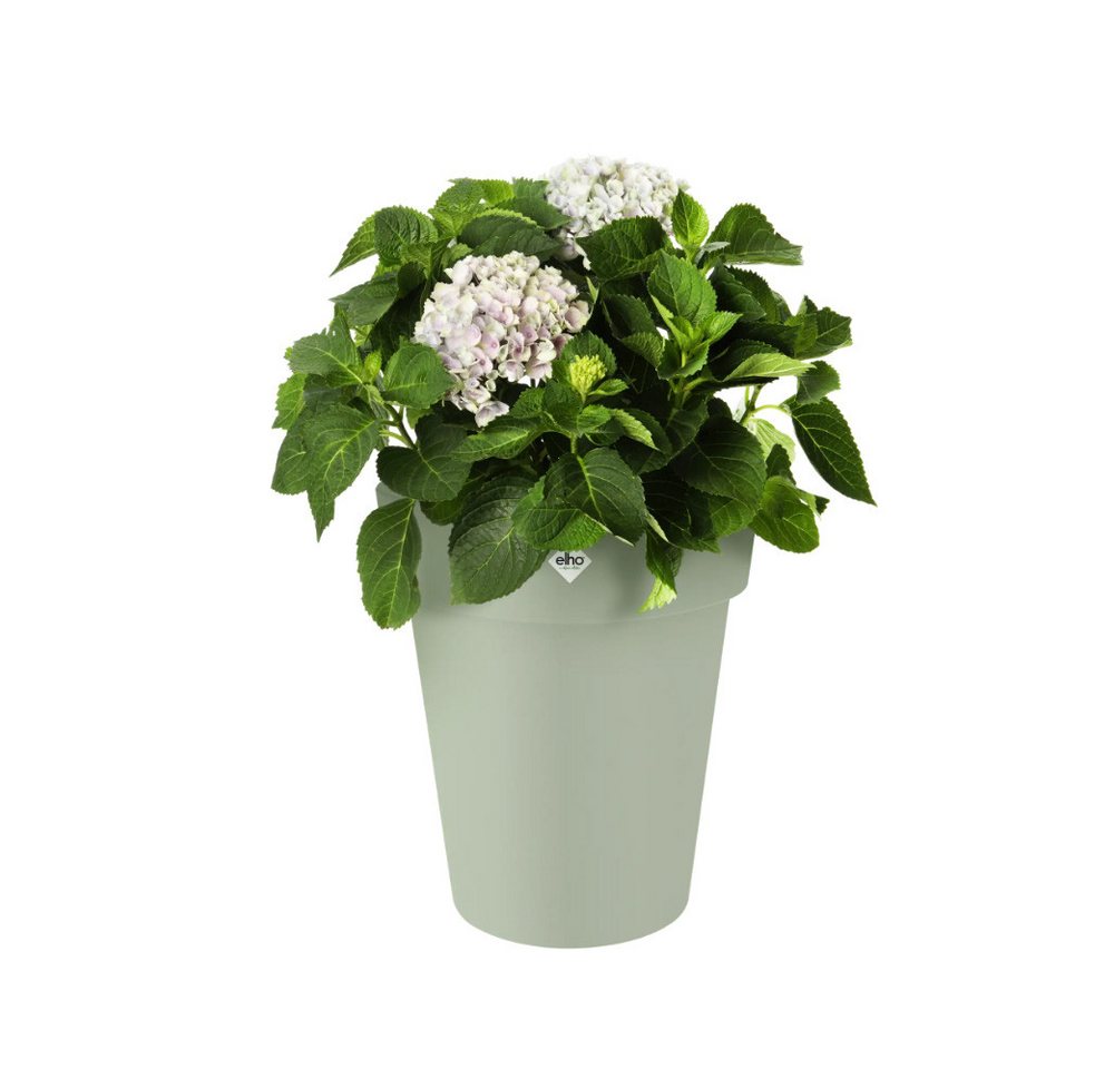 Thumbnail - Elho Pflanzkübel green basics top planter hoch