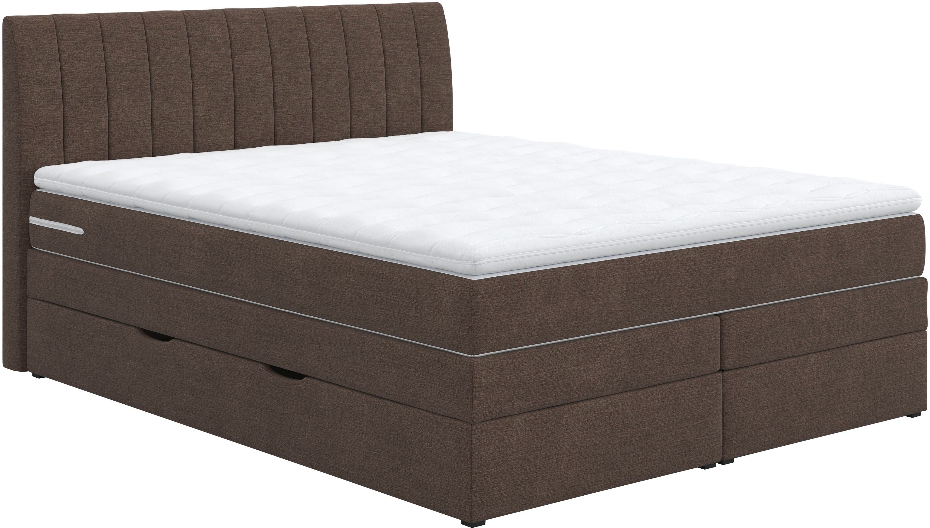 COTTA Boxspringbett Shark inkl. Bettkasten und günstig online kaufen