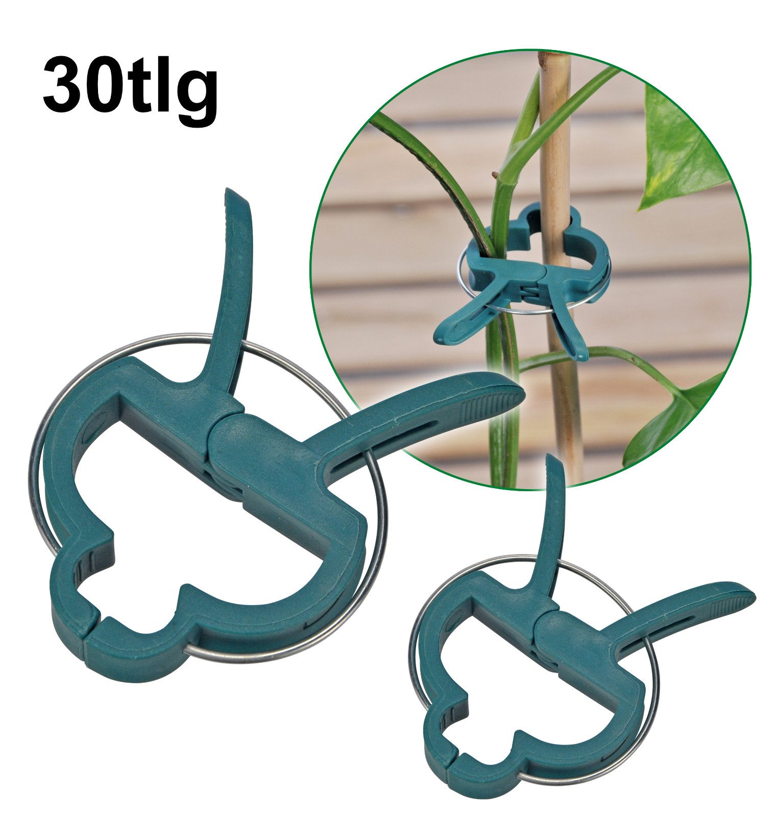 Haushalt International Rankhilfe Pflanzenclips Pflanzenklammer 2 Größen 30tlg Set, 30 St., Packung, 15x 6,5cm, Metallfeder, 15x 4cm, Pflanzhilfe