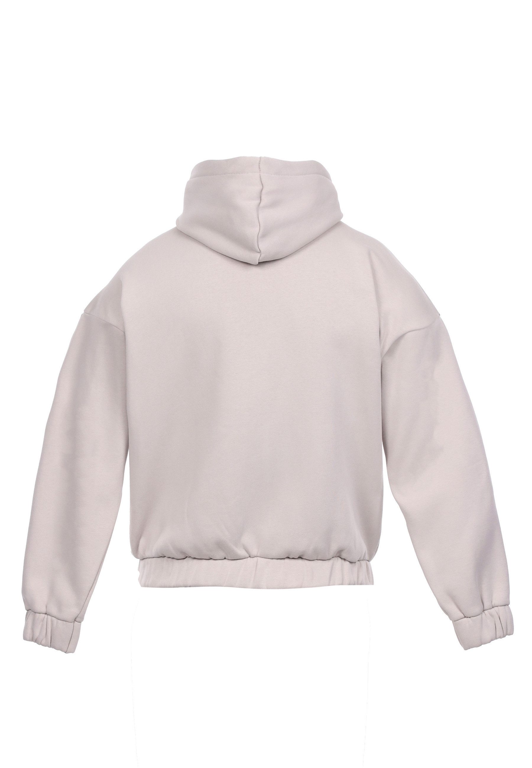 Dropsize Sweatjacke Dropsize SUPER HEAVY OVERSIZED HD-PRINT ZIP-HOODIE V2