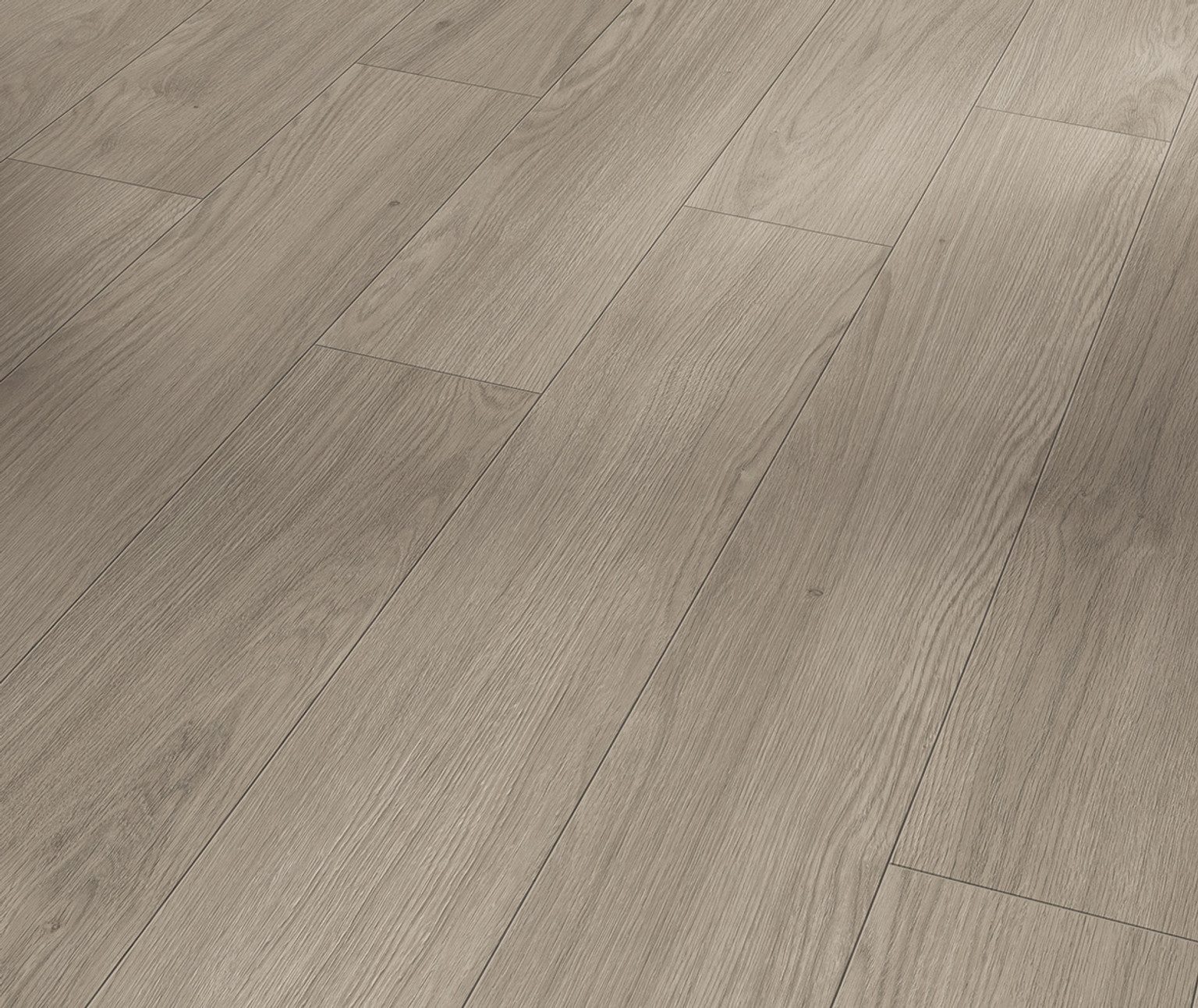PARADOR Laminat PARADOR Laminat Trendtime 1 – 8 mm, NKL 23/32, PARADOR Laminat Trendtime 1: 8 mm, NKL 23/32