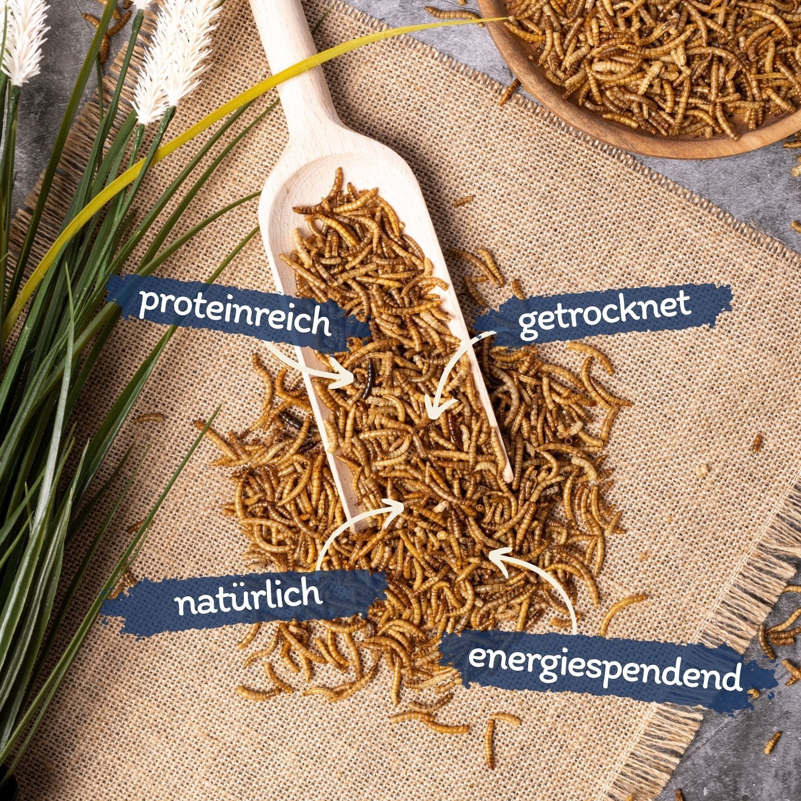 Lyra Pet 1 kg Lyra Pet® Mehlwürmer getrocknet, für: Wildvogel, Nager, Reptilien, Fisch