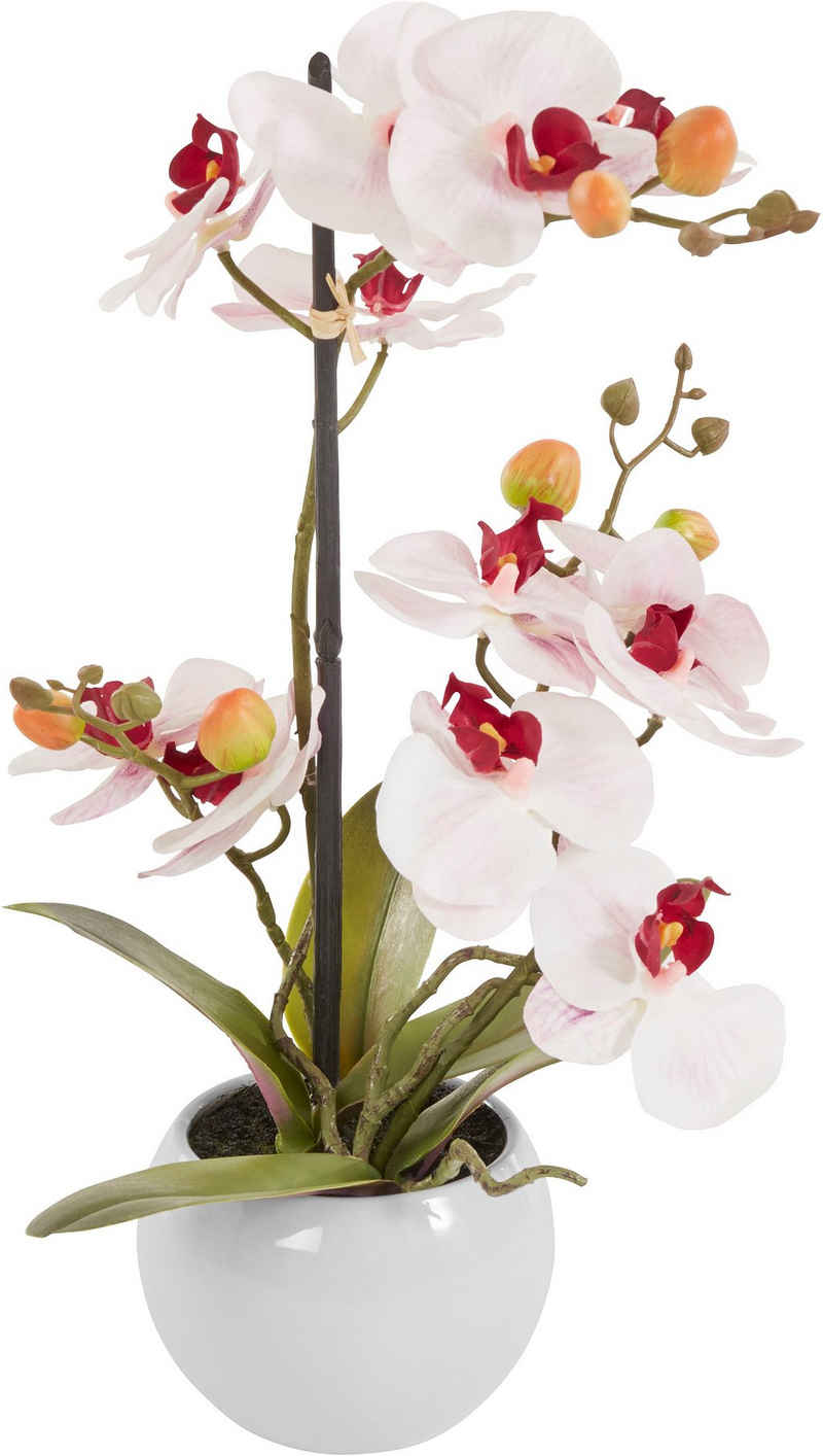 Kunstorchidee »Ernestine« Orchidee, DELAVITA, Höhe 42 cm, Kunstpflanze, im Topf