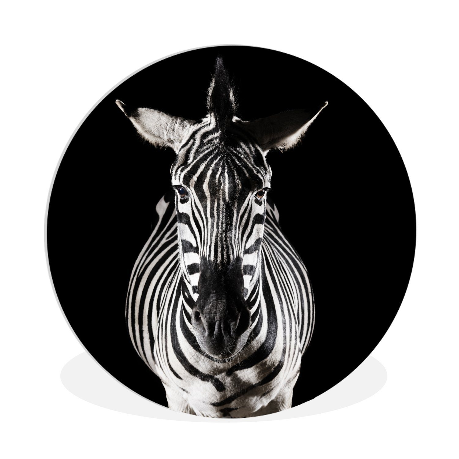 MuchoWow Gemälde Zebra auf schwarzem Hintergrund, (1 St), Kreis Wanddekoration Forex, Rundes Wandbild, Wohnzimmer, 30x30 cm