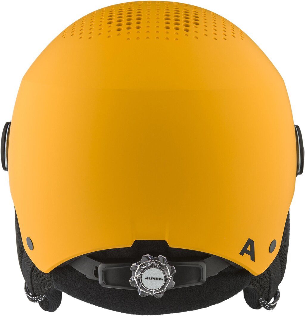 Alpina Skihelm