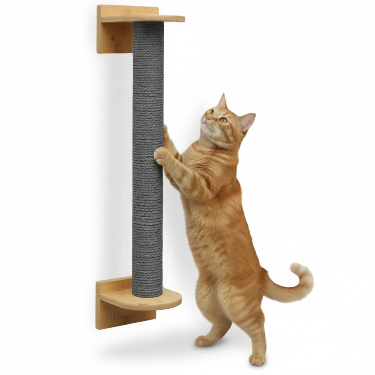 eyepower Kratzbaum zur Wandmontage - 66 cm Wandkratzbaum für Katzen - Sisal Kratzstamm, Sisalstamm Wand - Katzenkratzbaum platzsparend - Kletterwand Katze