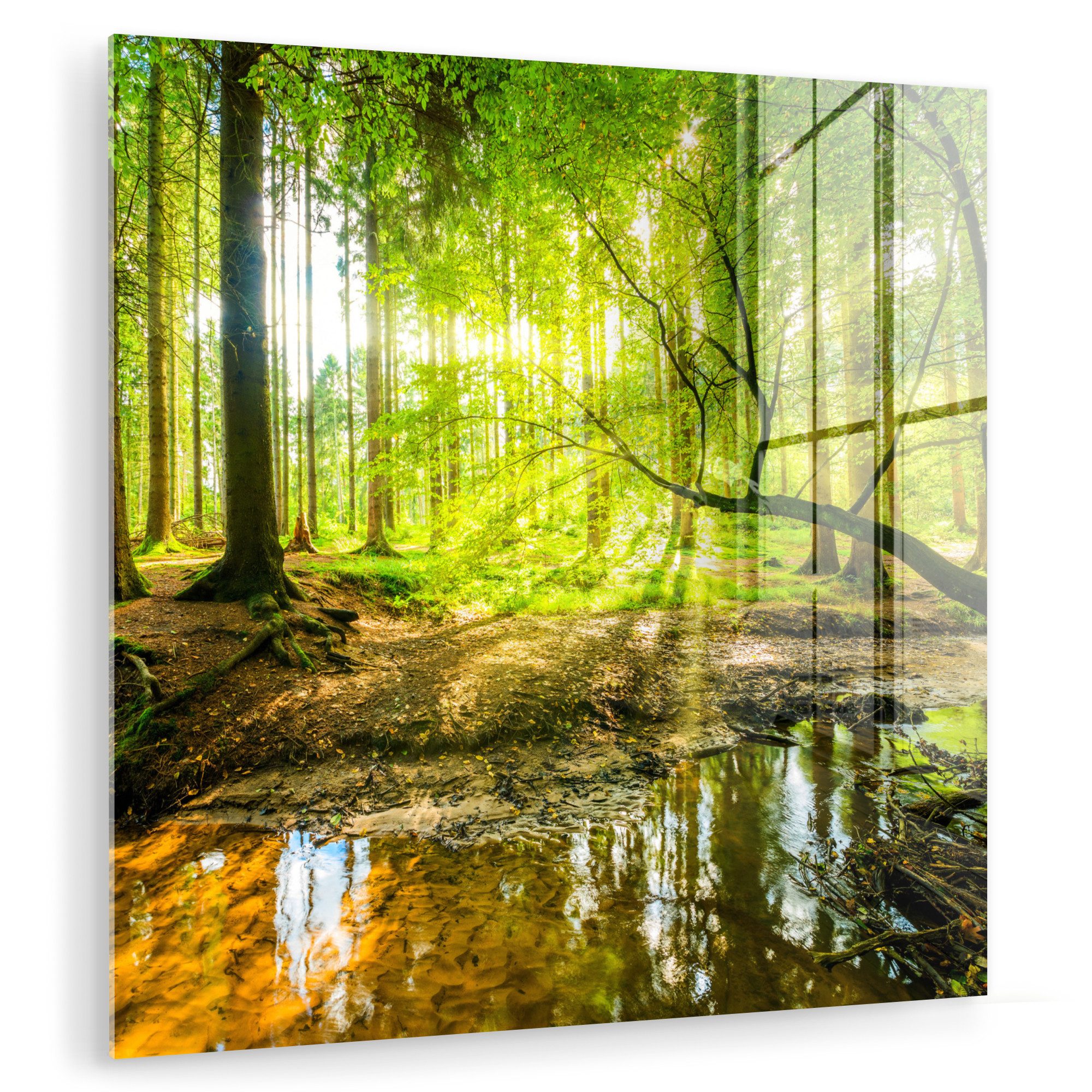 MuchoWow Acrylglasbild Wald - Landschaft - günstig online kaufen