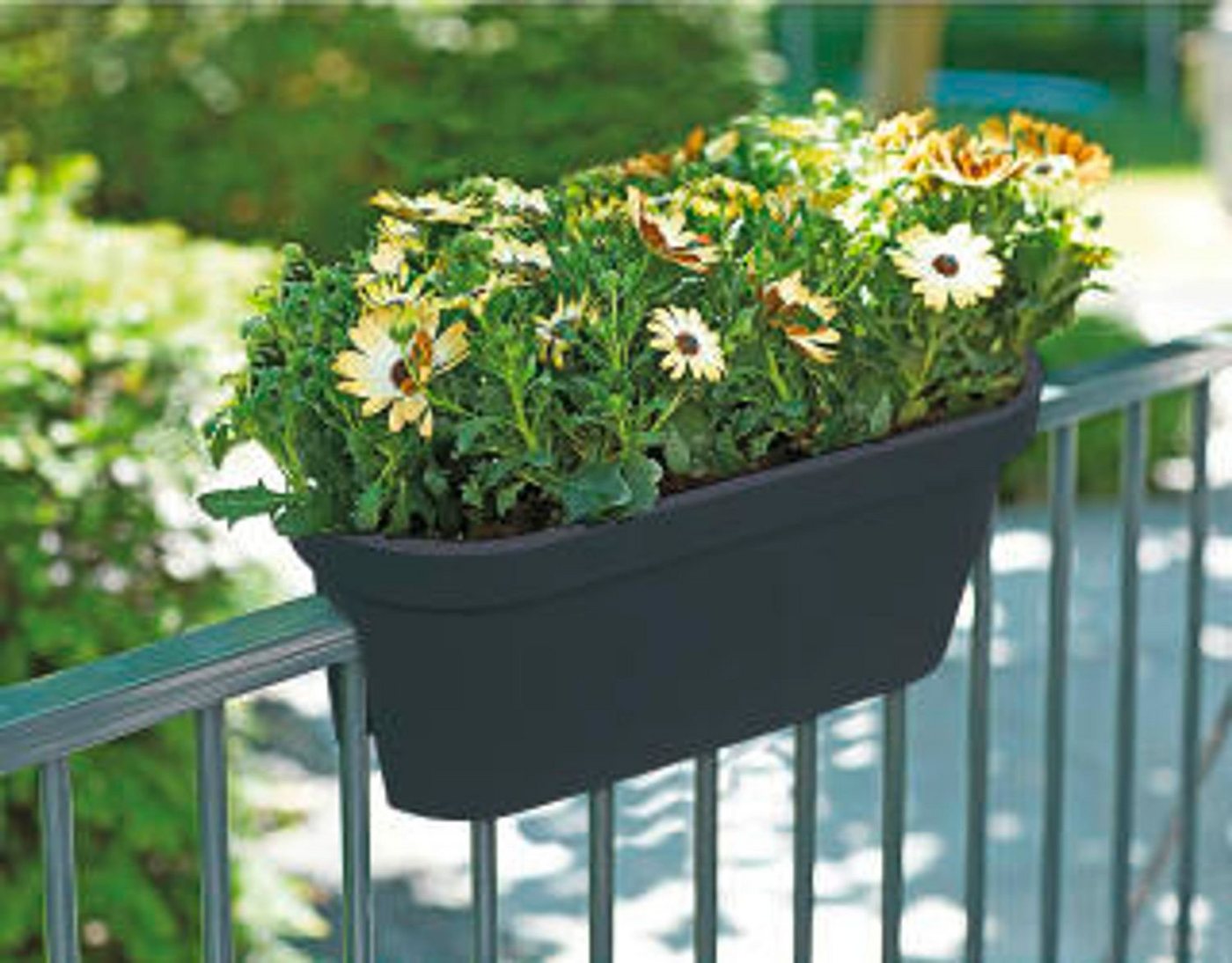 Thumbnail - Jelenia Plast Blumenkasten Pflanztopf Geländer Anthrazit Balkon Blumenkasten Kübel Terrassen Topf