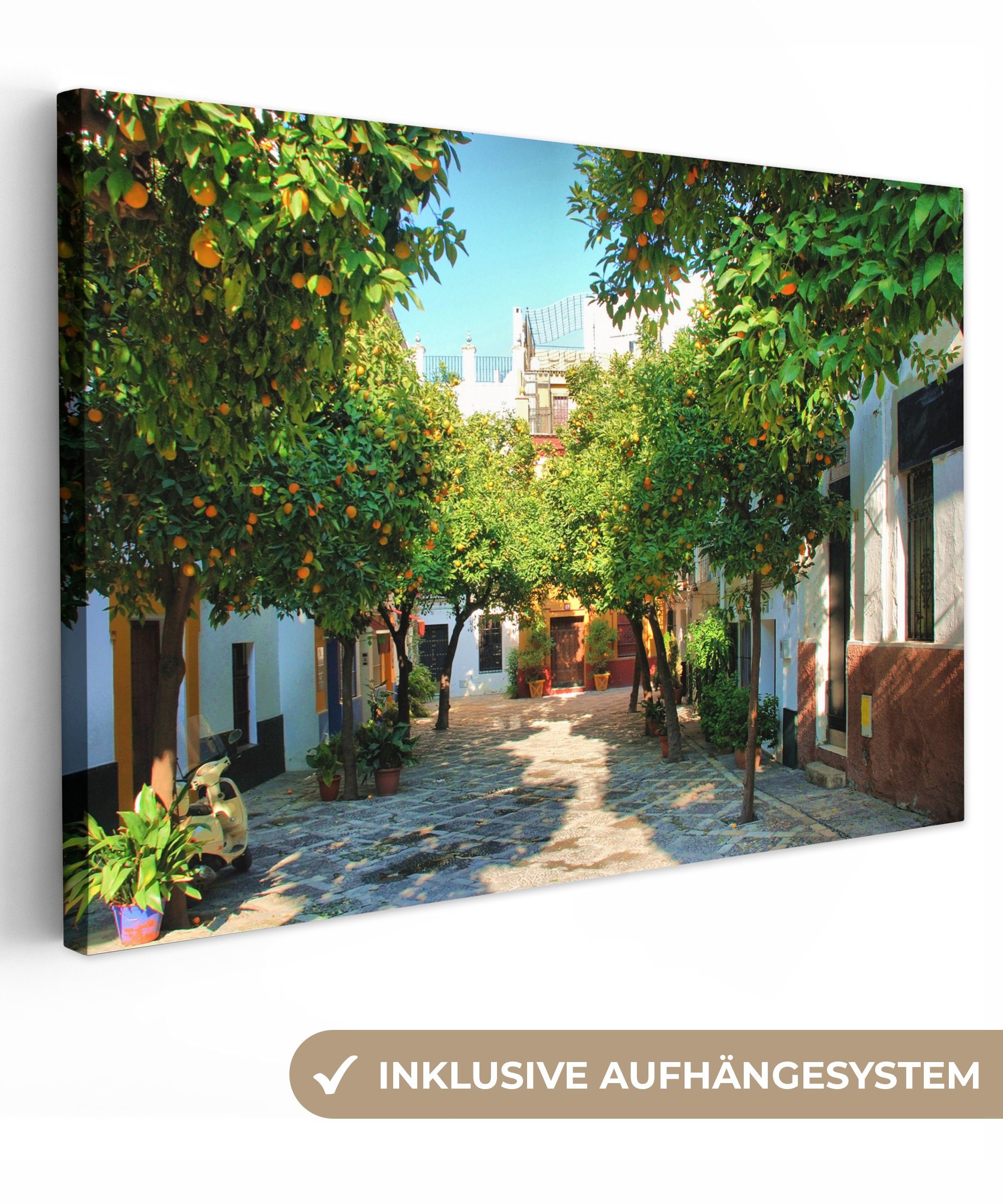 OneMillionCanvasses® Leinwandbild Sevilla - Baum St), Wanddeko, Aufhängefertig, - Wandbild Weiß, Leinwandbilder, (1 cm 30x20