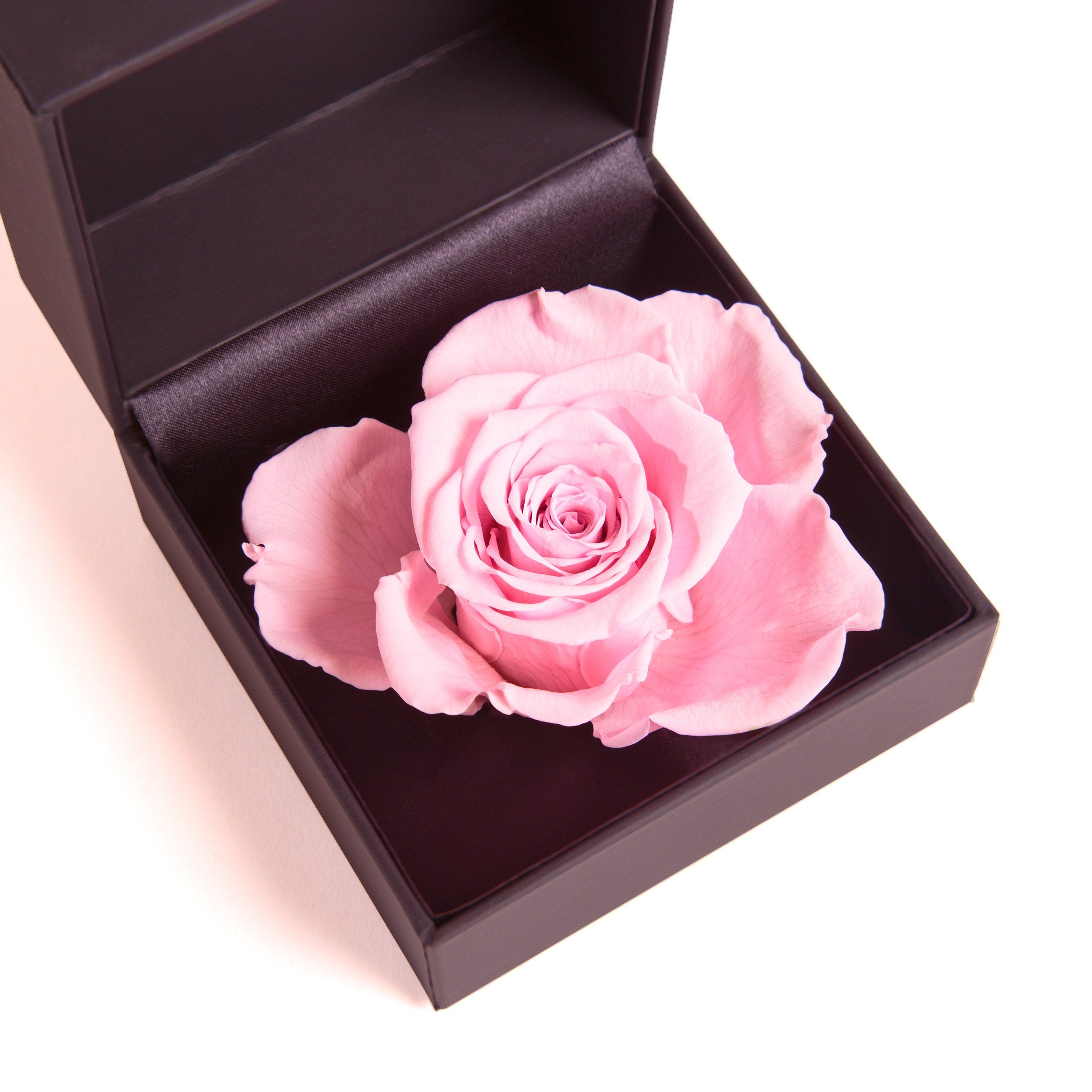 Heidelberg, Rose ROSEMARIE 9 Langlebige Groß Kunstblume Infinity cm, in Ringbox SCHULZ Ringdose Höhe konserviert Rose Rose, Box Rosenbox Rosa