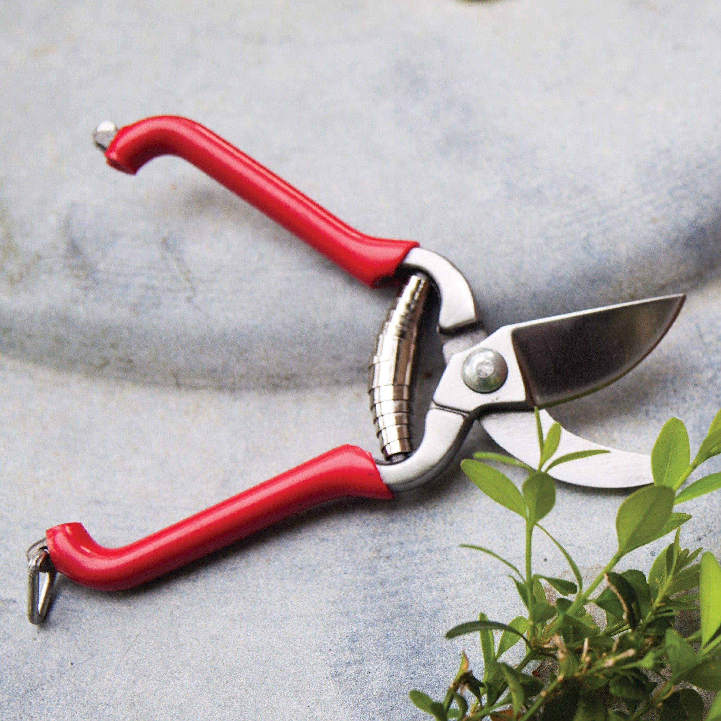 degawo Gartenpflege-Set Kleine, traditionelle Gartenschere 14cm mit ergonomischem Griff