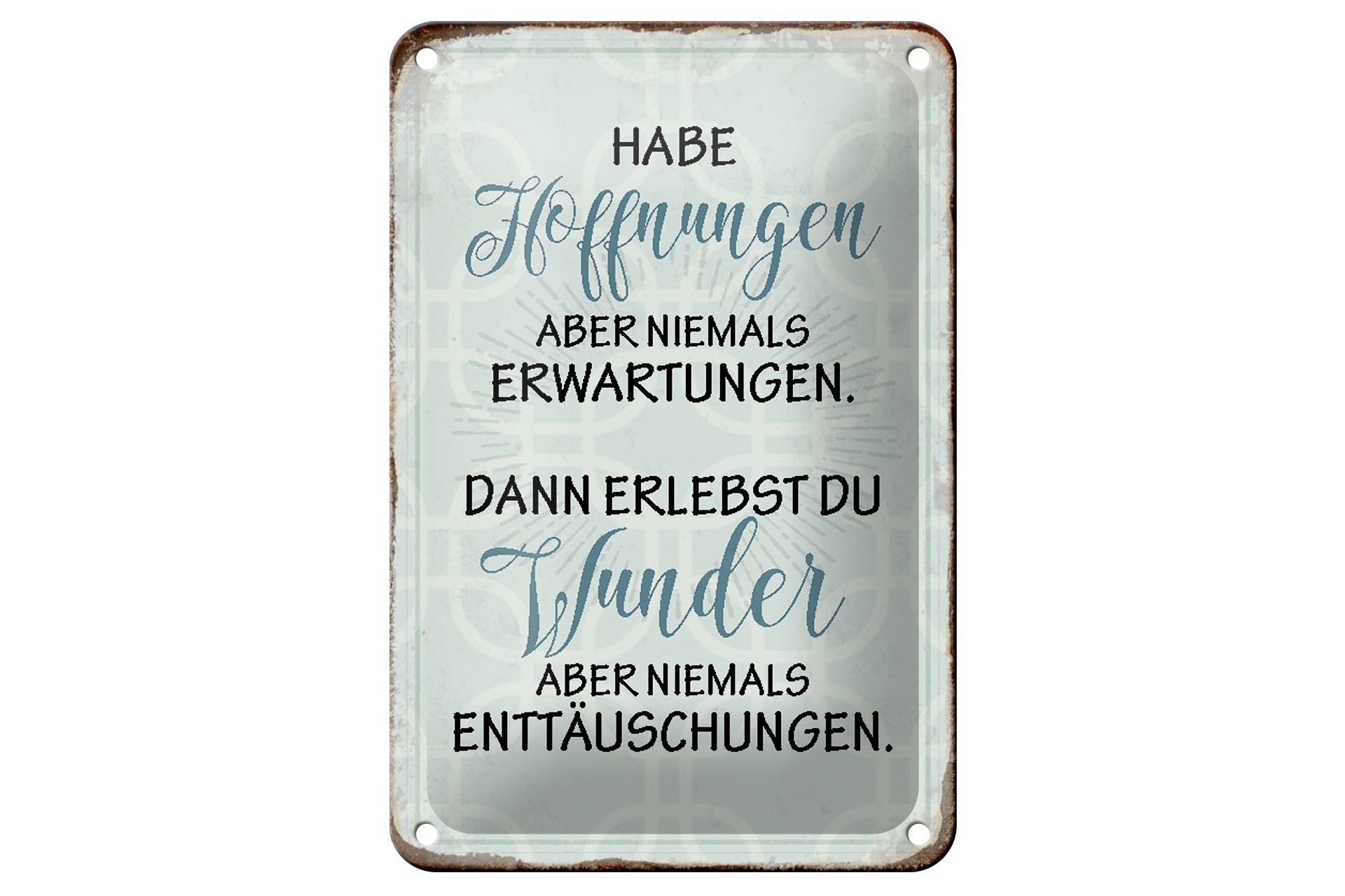 Metallschild Spruch 12x18cm habe Hoffnungen nie Erwartungen