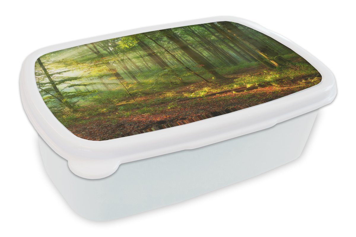 MuchoWow - weiß Kinder - (2-tlg), Lunchbox Jungs Herbst, und Brotbox und für Sonne Wald Bäume - Erwachsene, Natur Mädchen Kunststoff, Brotdose, für -
