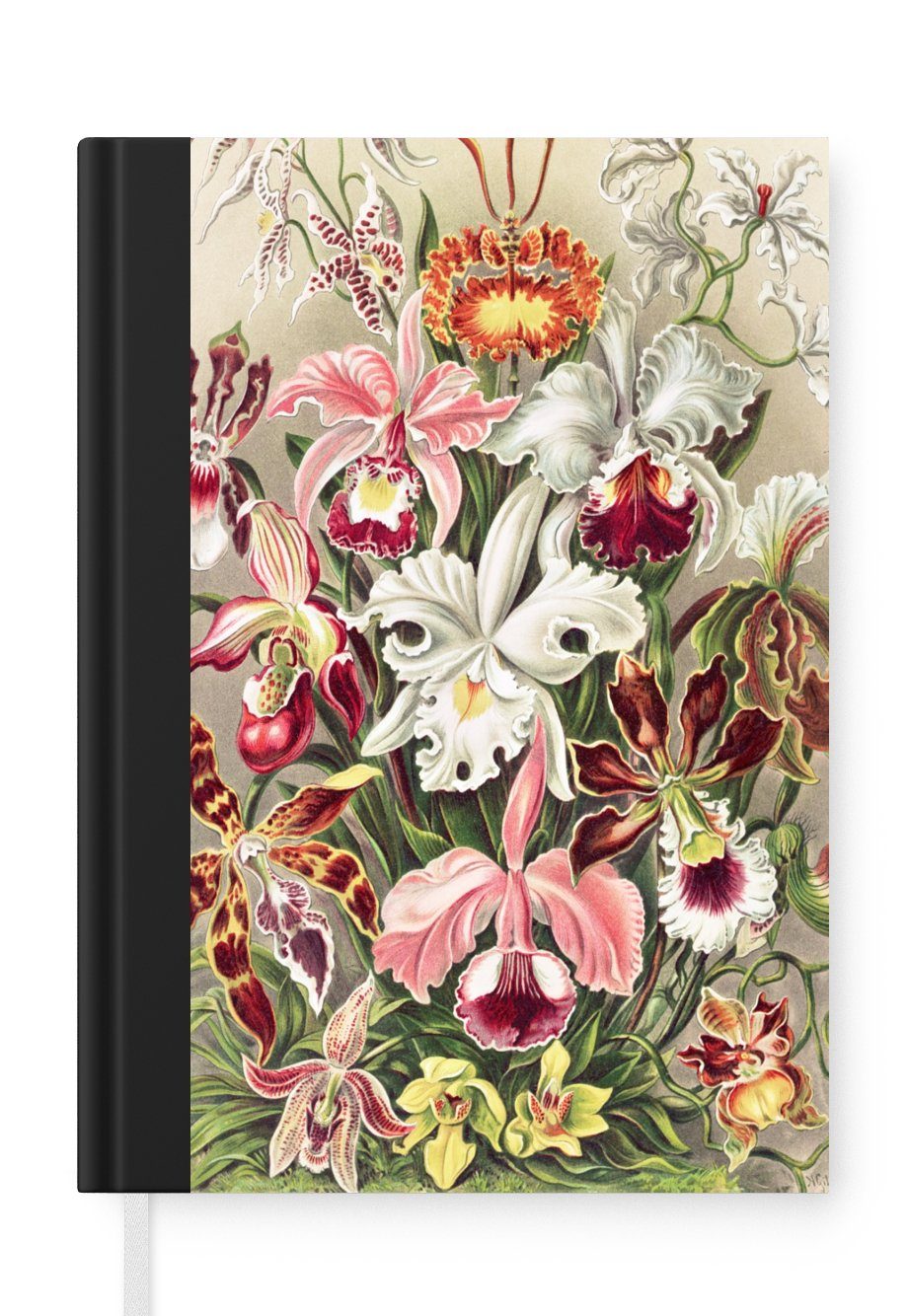 Tagebuch, - Jahrgang 98 Merkzettel, A5, Blumen Notizheft, Journal, Haushaltsbuch Ernst - Orchidee, - Notizbuch Seiten, MuchoWow Haeckel