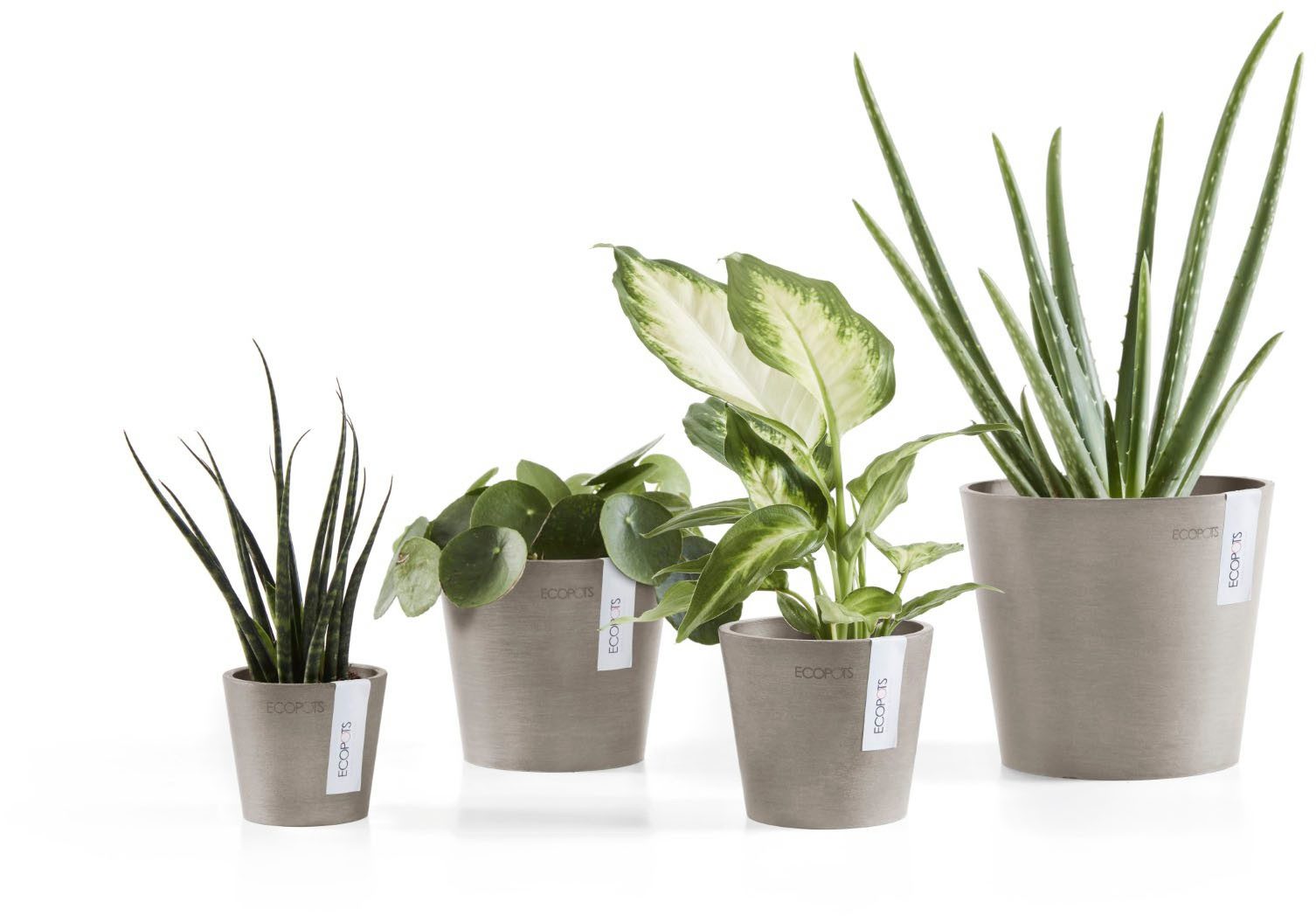ECOPOTS Blumentopf Amsterdam Mini 10,5 Taupe, für den Innenbereich günstig online kaufen