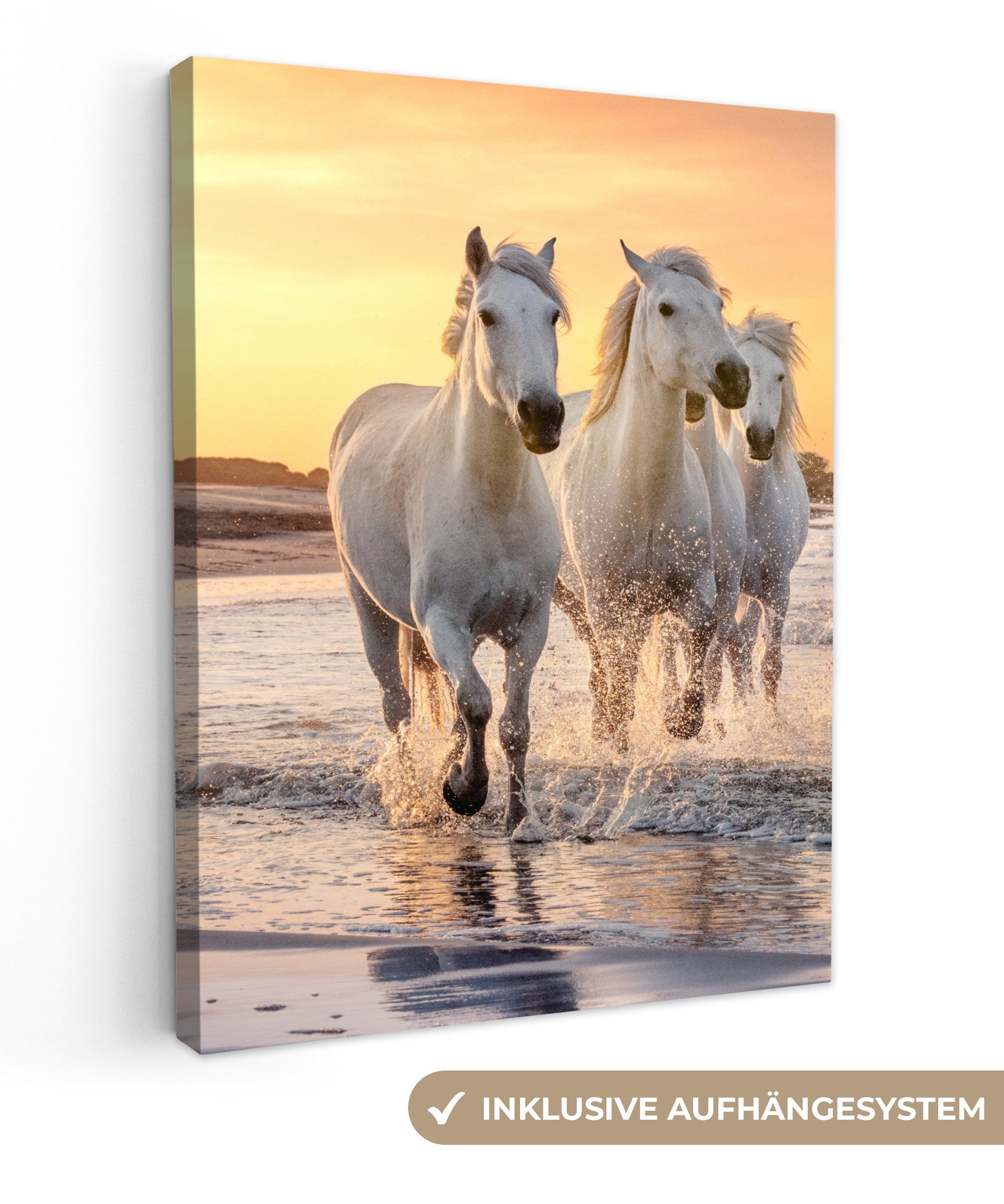 OneMillionCanvasses® Leinwandbild Pferde - Sonne - Meer - Strand - Tiere, Weiß, Orange (1 St), Leinwand Bilder für Wohnzimmer Schlafzimmer 30x40 cm