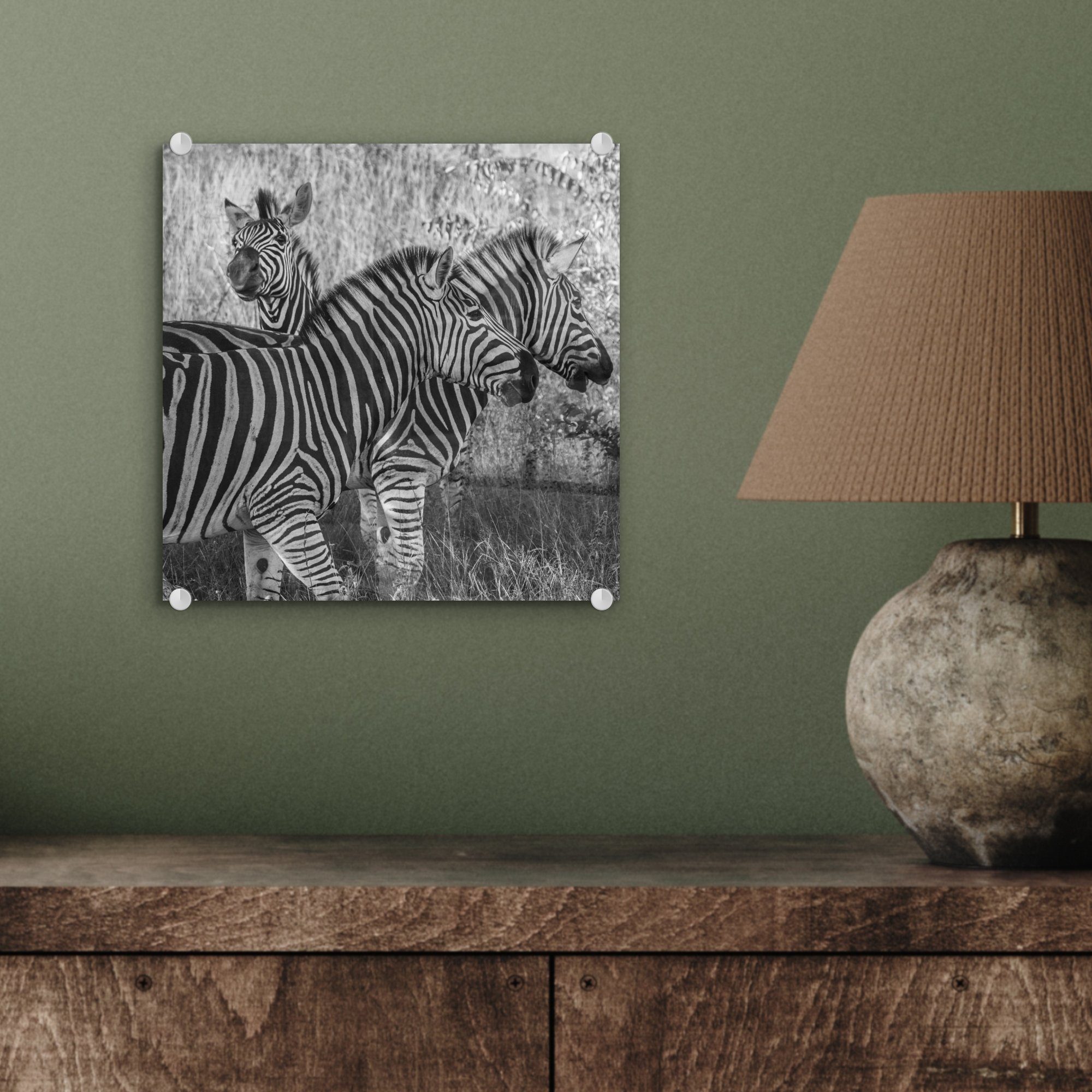 grasende St), Glas Foto auf auf MuchoWow Zebras, Wanddekoration Glas - Wandbild Glasbilder (1 Acrylglasbild - Bilder Drei -