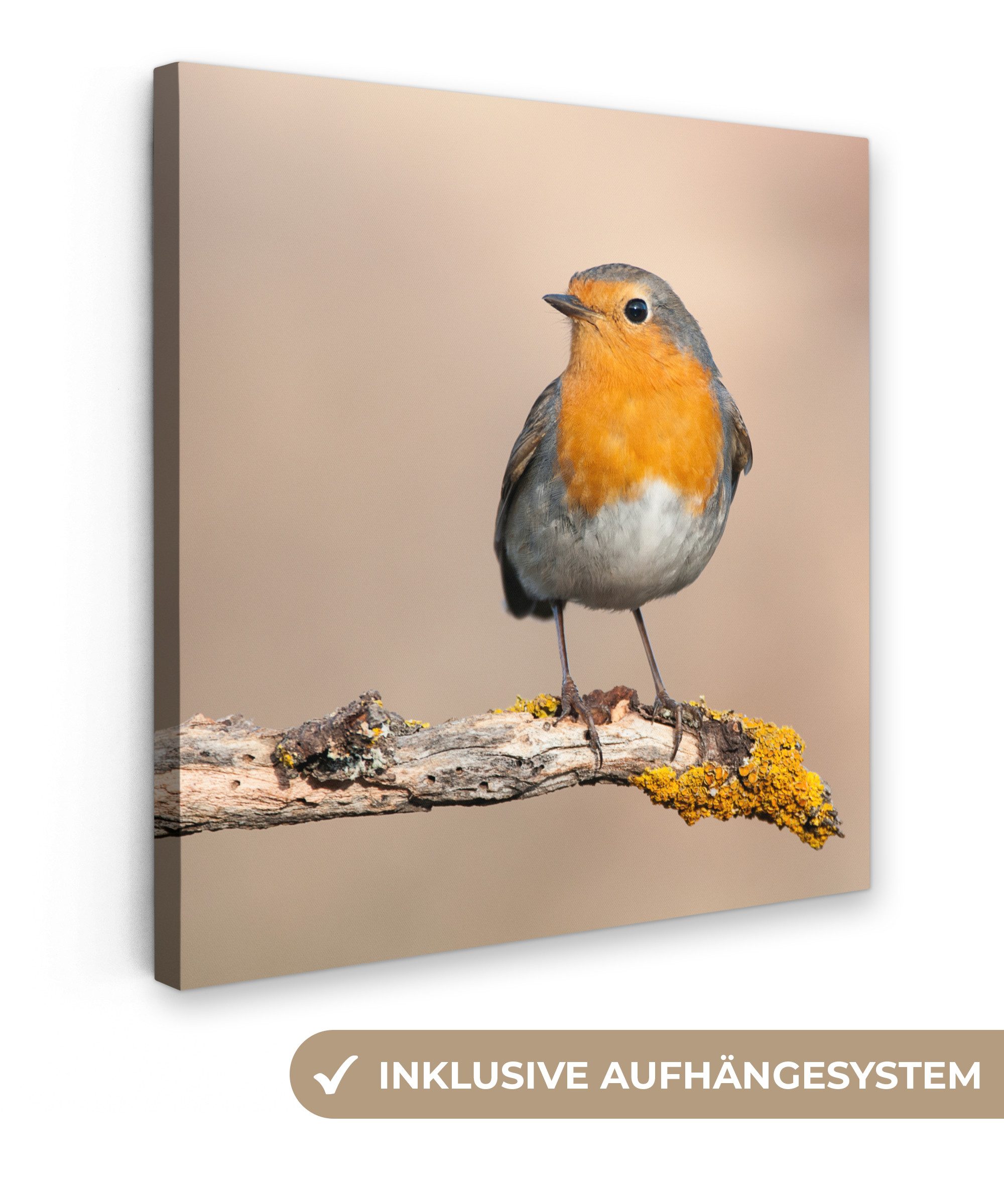 OneMillionCanvasses® Leinwandbild Rotkehlchen - Vogel - günstig online kaufen