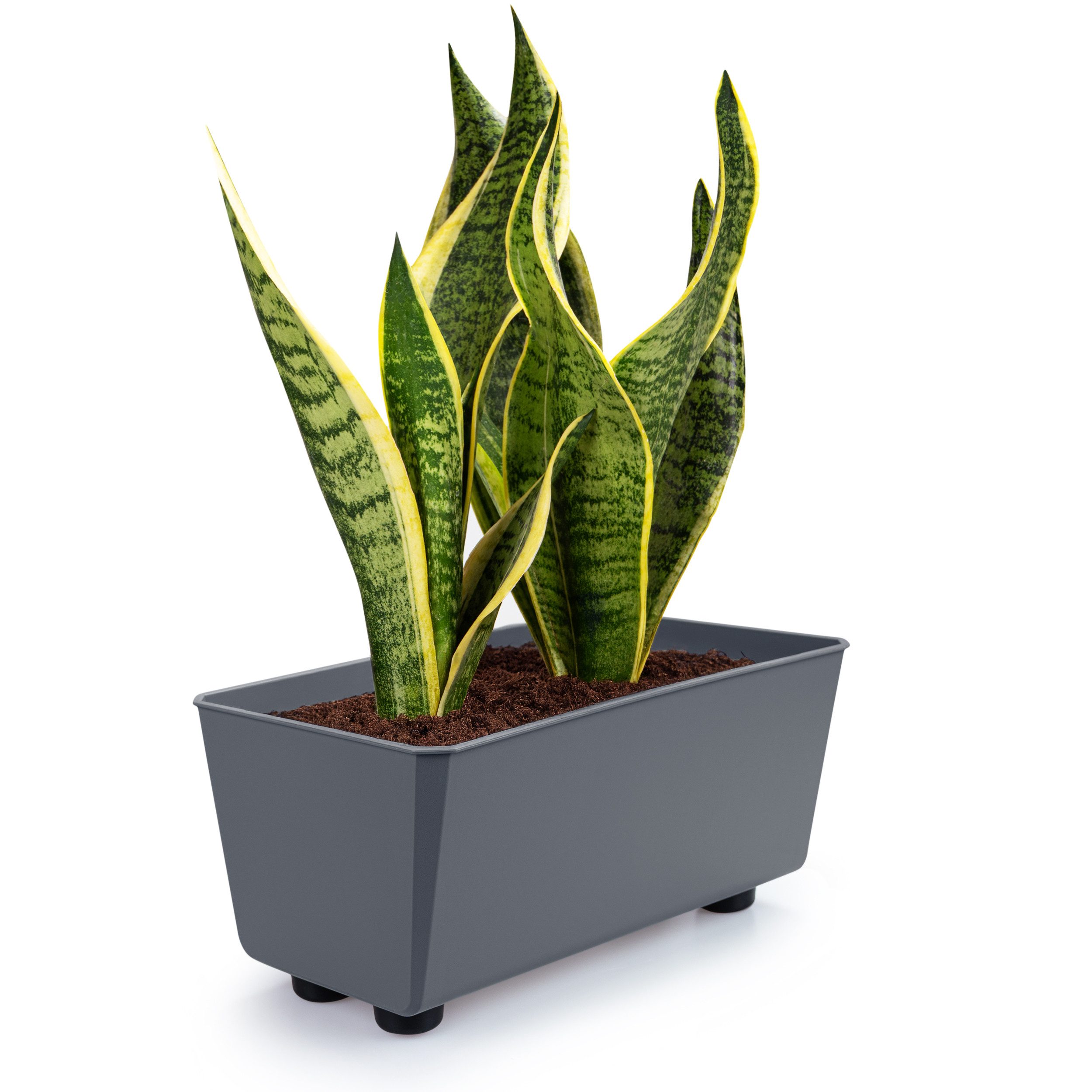 KONZEPT Blumenkasten Blumentöpfe mit Füßen, rechteckig – kleine Blumenkästen 4,2 L (1 St), 284x168x173 mm, ideal für Fensterbank & Zimmerpflanzen