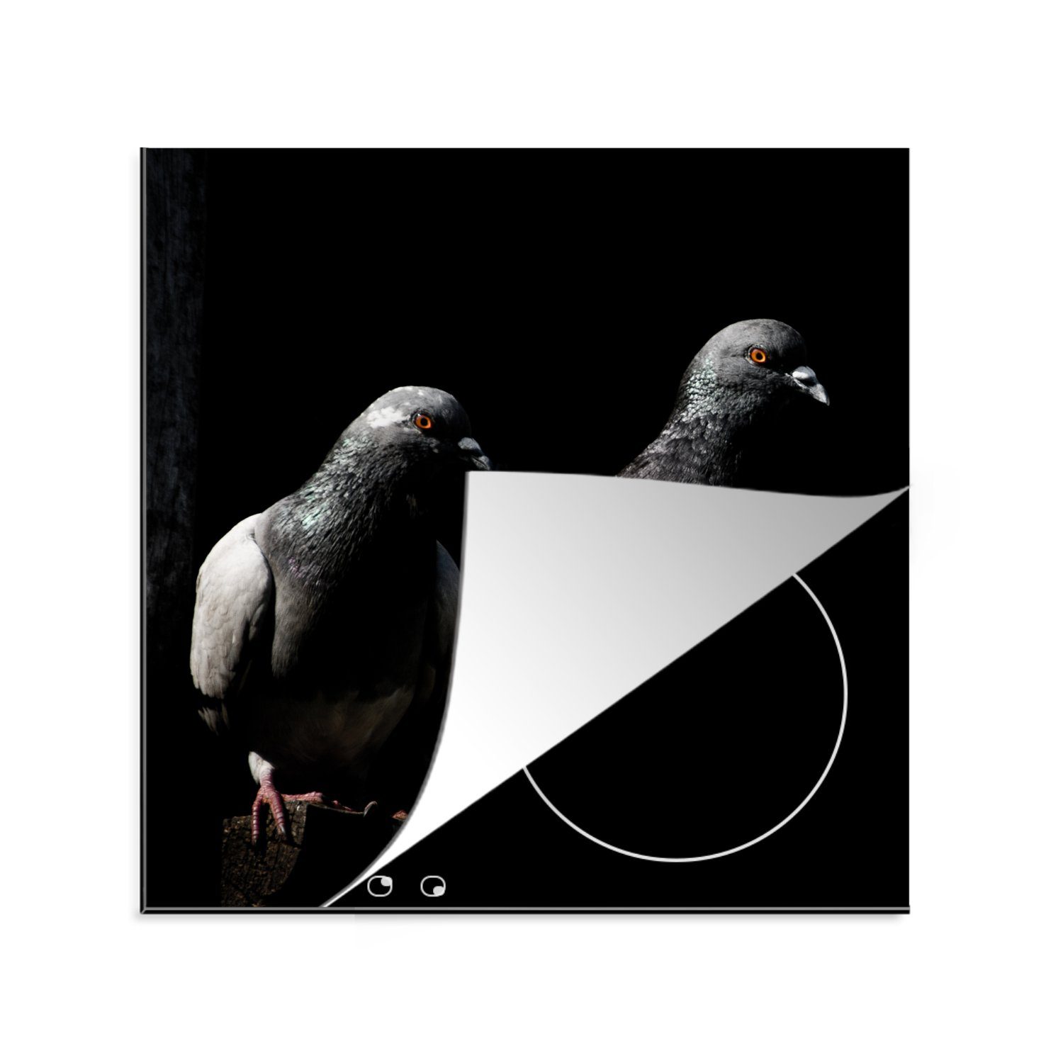 MuchoWow Herdblende-/Abdeckplatte Zwei schöne Tauben auf schwarzem Hintergrund, Vinyl, (1 tlg), 78x78 cm, Ceranfeldabdeckung, Arbeitsplatte für küche