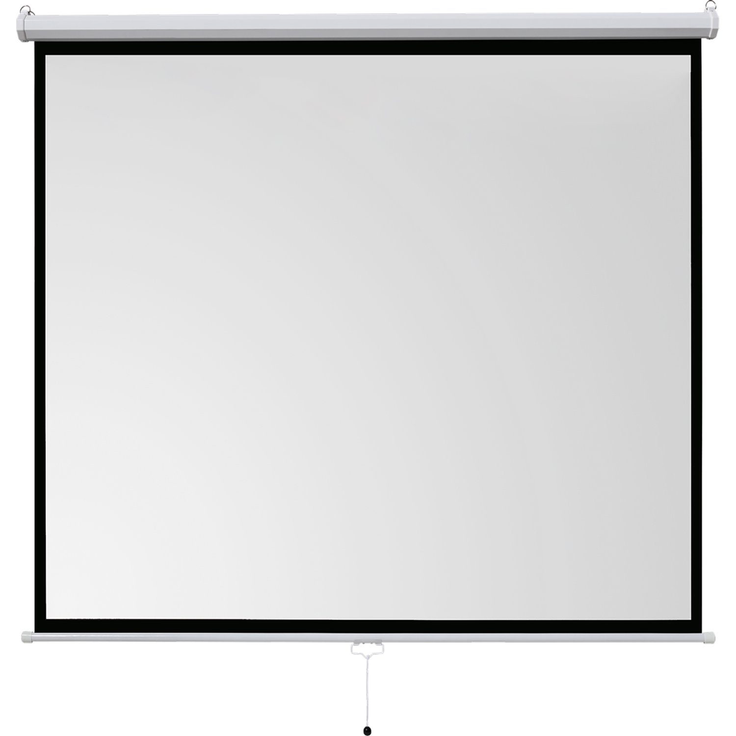Celexon basic line Rolloleinwand (schwarze Rückseite)