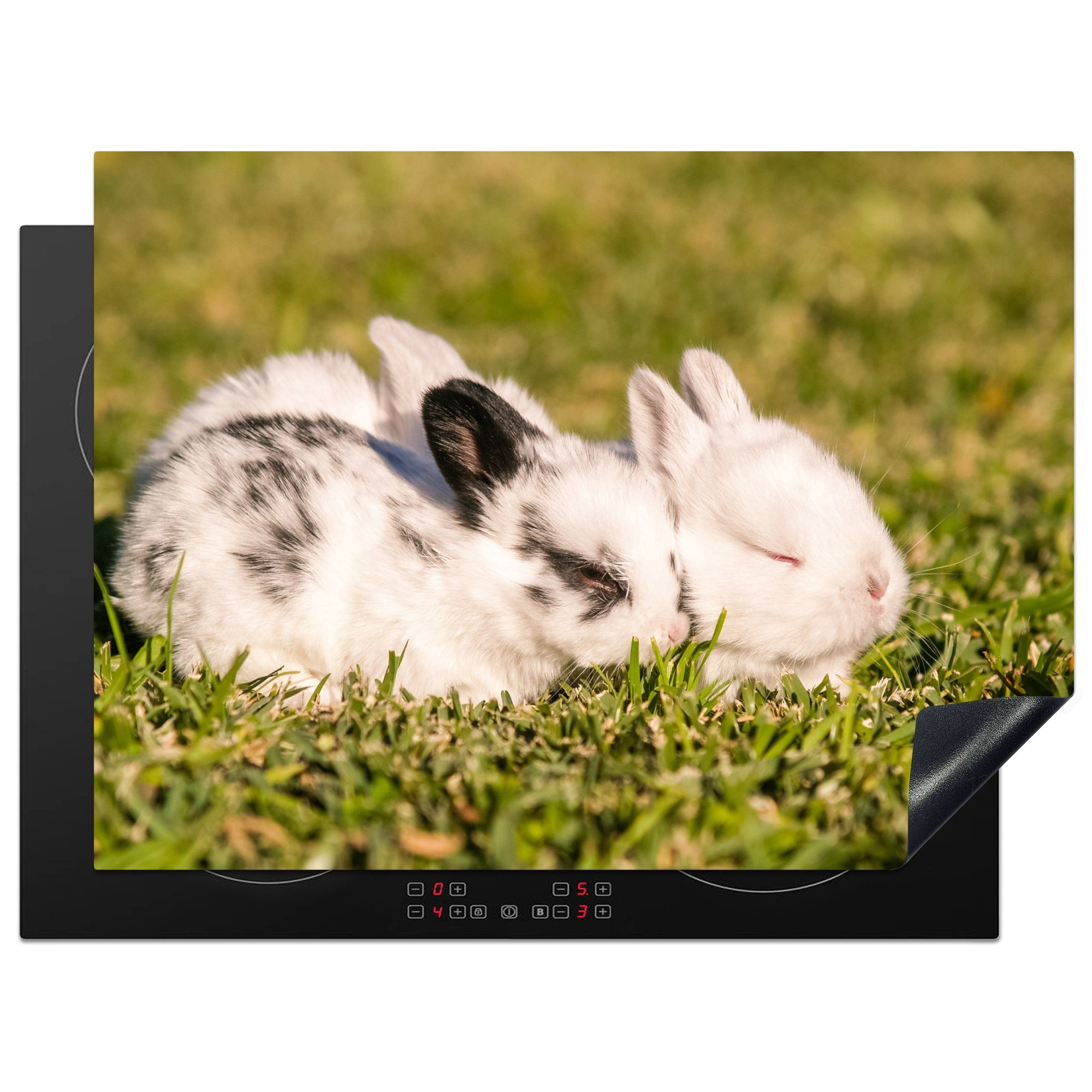 MuchoWow Herdblende-/Abdeckplatte Baby-Kaninchen - Haustier - Gras, Vinyl, (1 tlg), 71x52 cm, Induktionskochfeld Schutz für die küche, Ceranfeldabdeckung