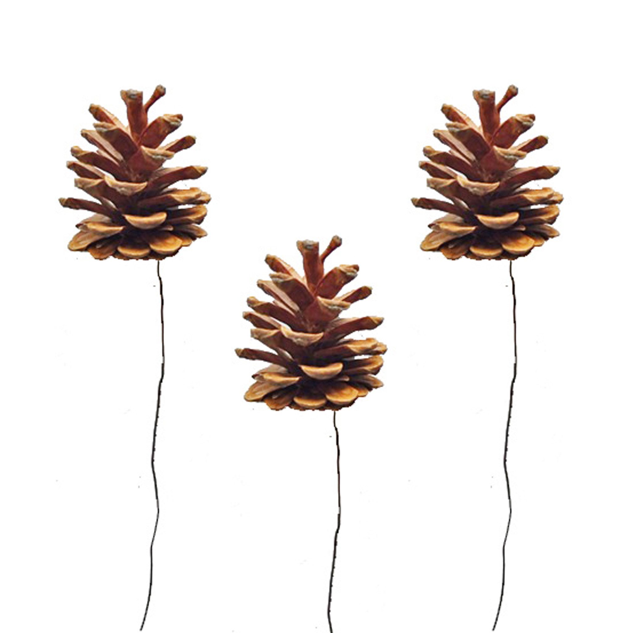 matches21 HOME & HOBBY Bastelnaturmaterial