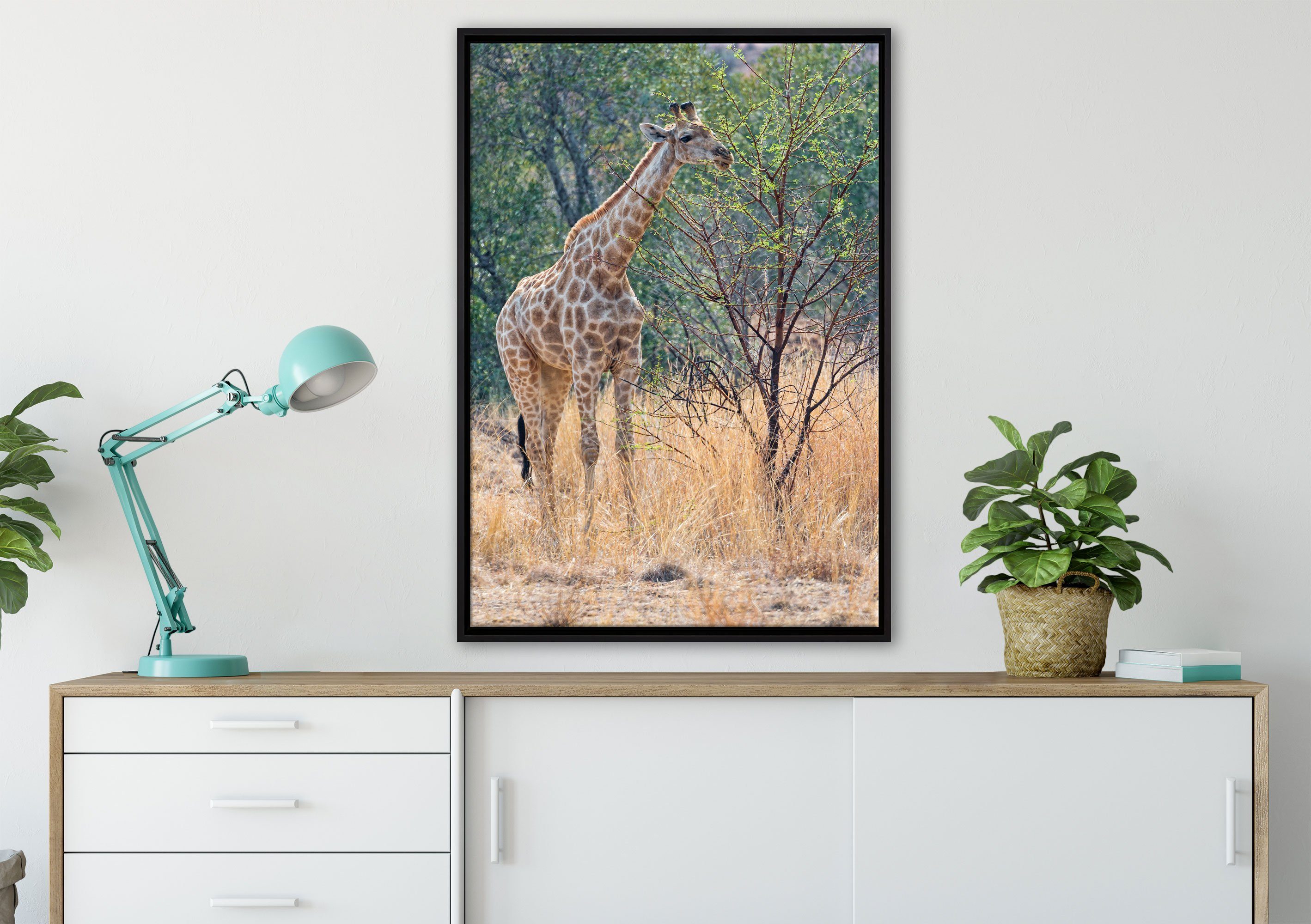 Pixxprint Leinwandbild Giraffe beim Fressen, Wanddekoration fertig (1 Schattenfugen-Bilderrahmen bespannt, gefasst, Zackenaufhänger inkl. Leinwandbild in einem St)