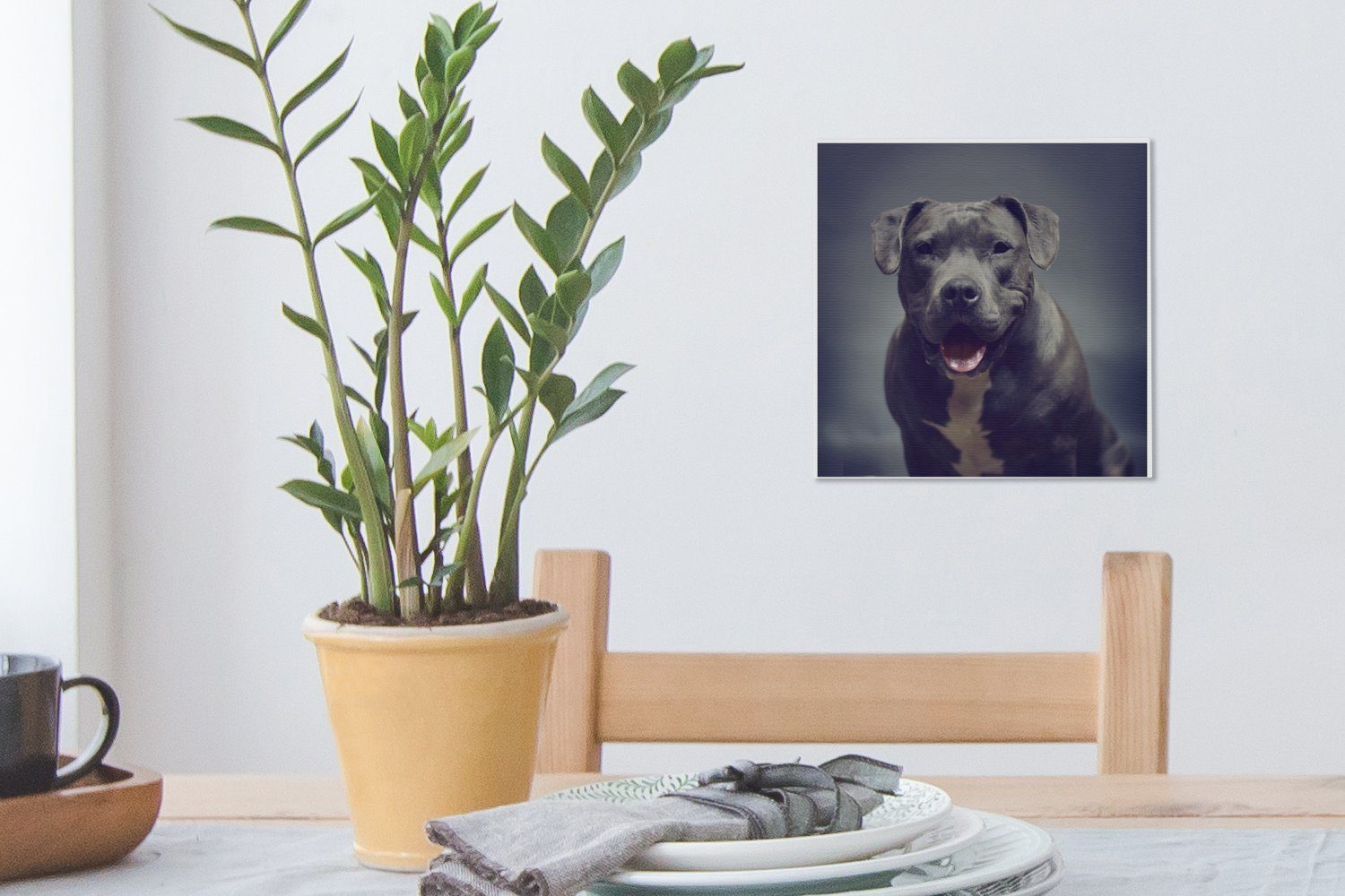 Kamera, OneMillionCanvasses® Leinwandbild für Terrier in Leinwand Grauer (1 Staffordshire lächelt American Schlafzimmer St), Bilder die Wohnzimmer