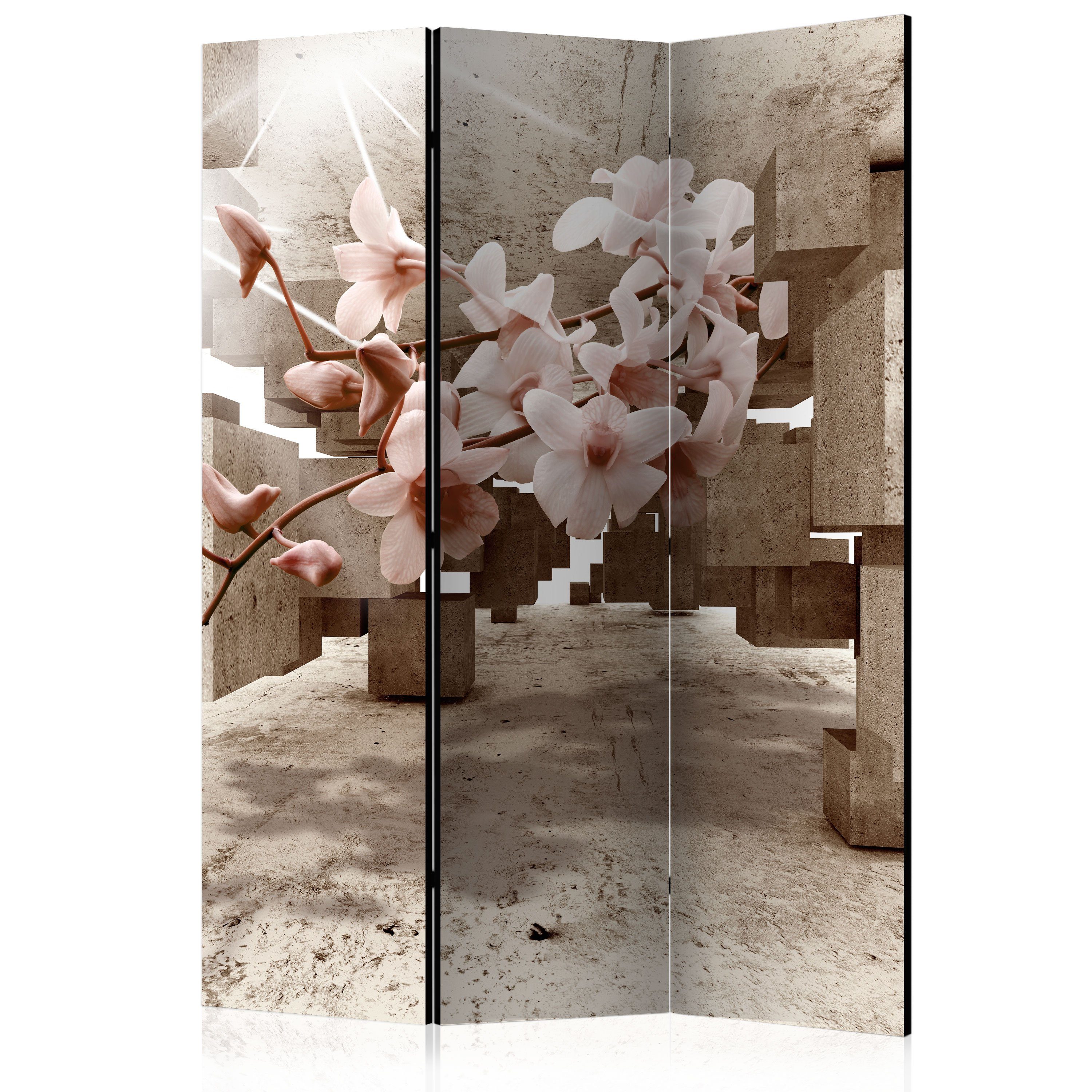 Basera® Paravent 3-teiliger Raumteiler, Motiv b-C-0029-z-b