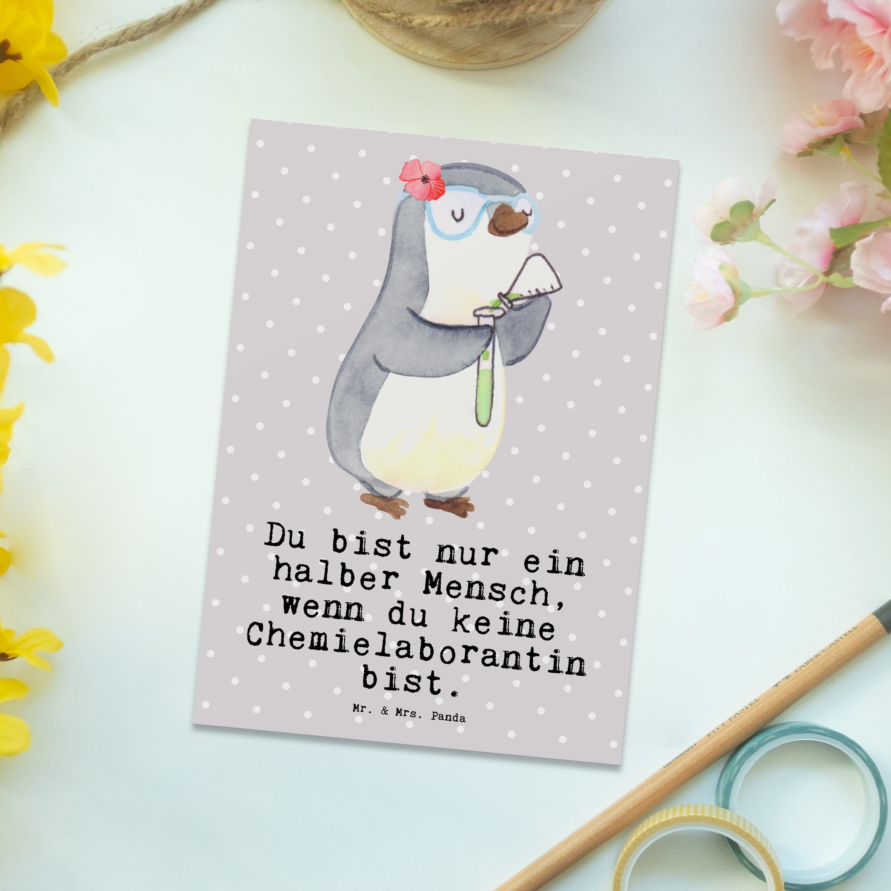 Mr. & Mrs. Herz - Chemieunterricht - Postkarte Pastell Chemielaborantin mit Panda Geschenk, Grau