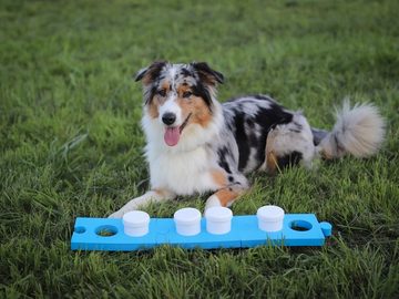 Procyon Tier-Intelligenzspielzeug Schnüffelset für Hunde mit 4 Dosen, (7-tlg) Puzzleplatten