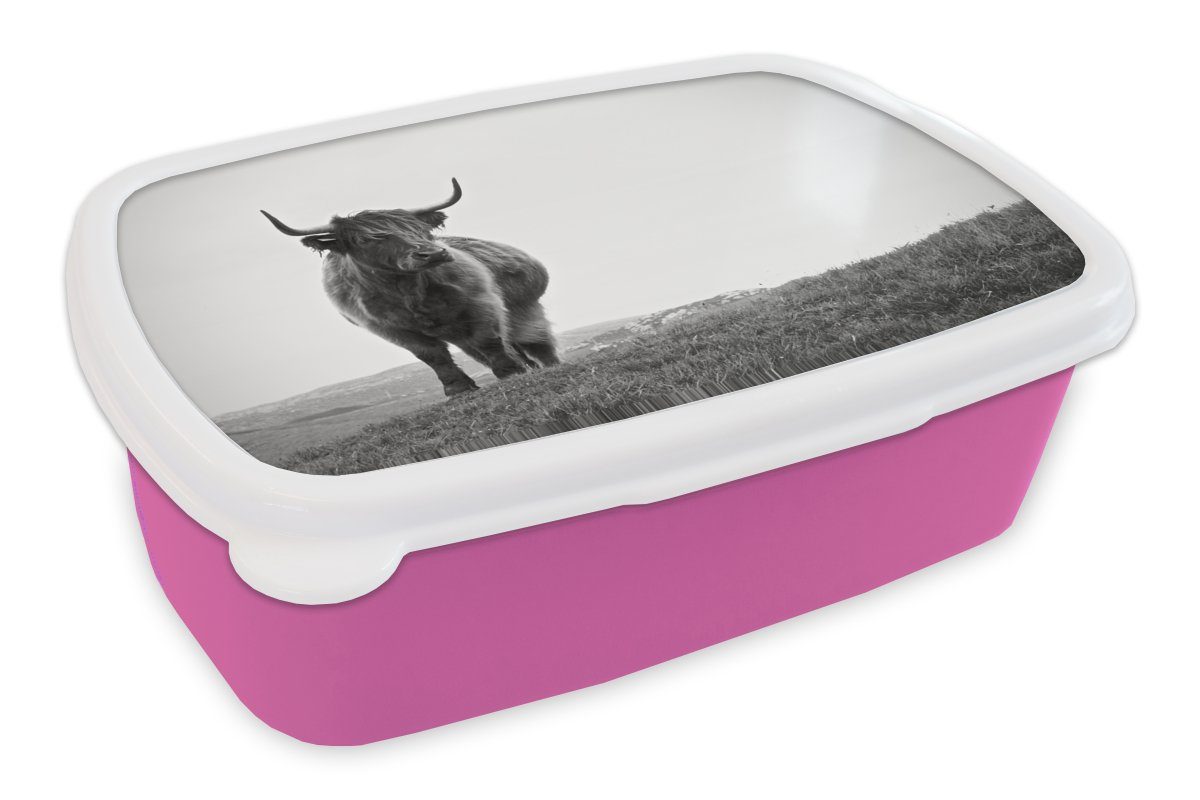 MuchoWow Lunchbox Tiere - Schottische Hochlandbewohner - Schwarz und weiß - Natur -, Kunststoff, (2-tlg), Brotbox für Erwachsene, Brotdose Kinder, Snackbox, Mädchen, Kunststoff rosa