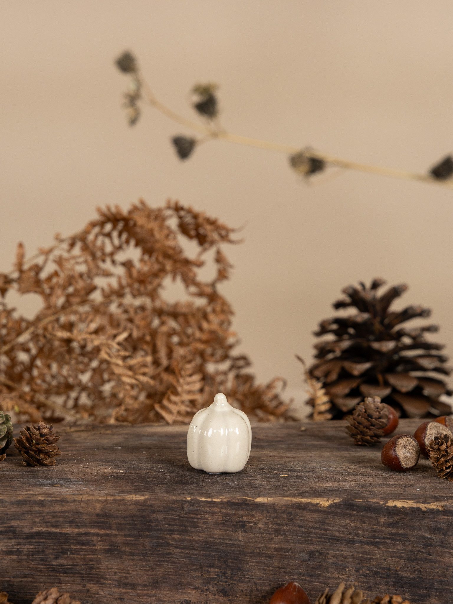 Storefactory Dekoobjekt Kürbis Tranebo Herbstdekoration, Vanilla (Creme/Weiß), Naturdeko