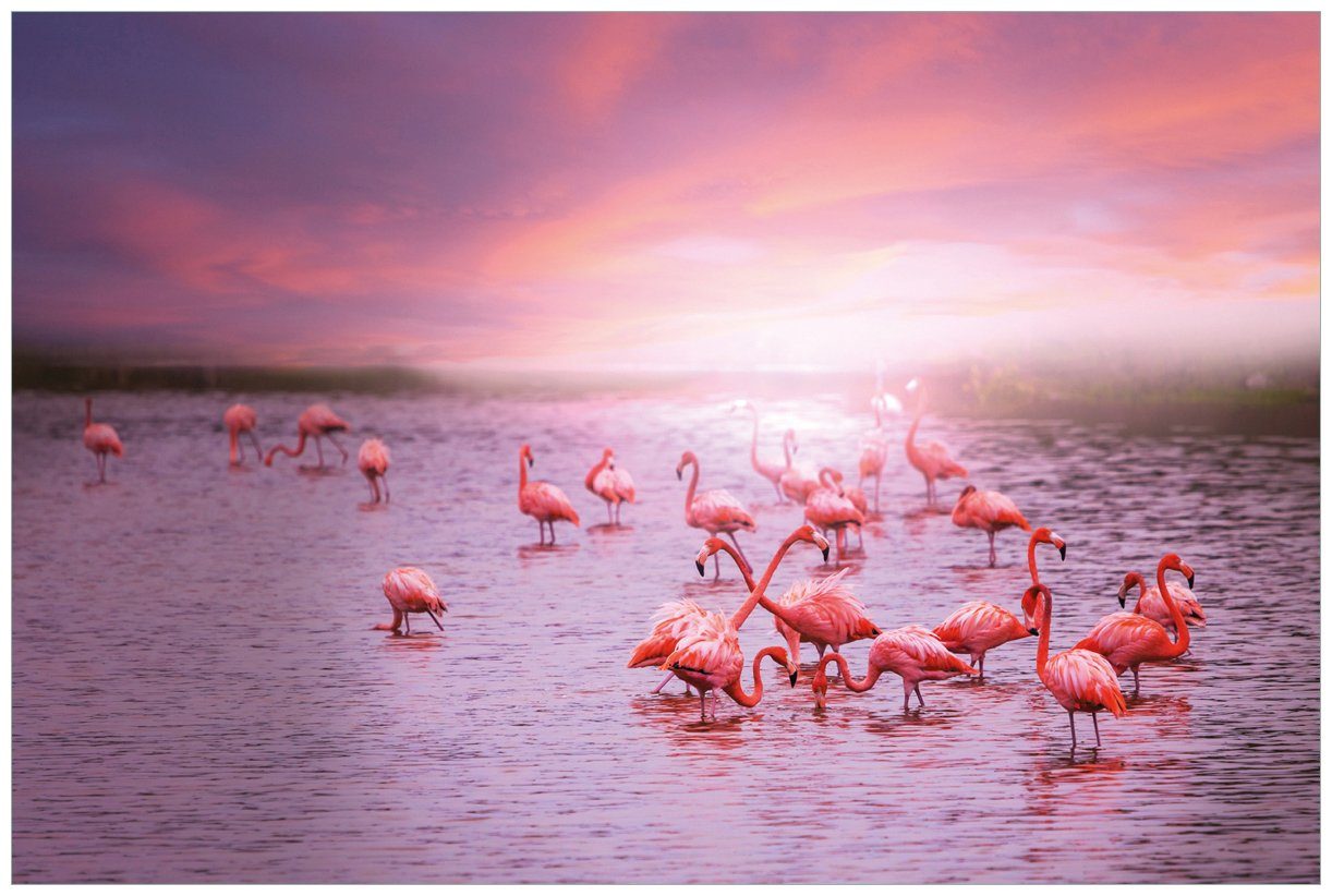 Wallario Wandfolie, Rosa Flamingos bei Sonnenuntergang, in verschiedenen Ausführungen