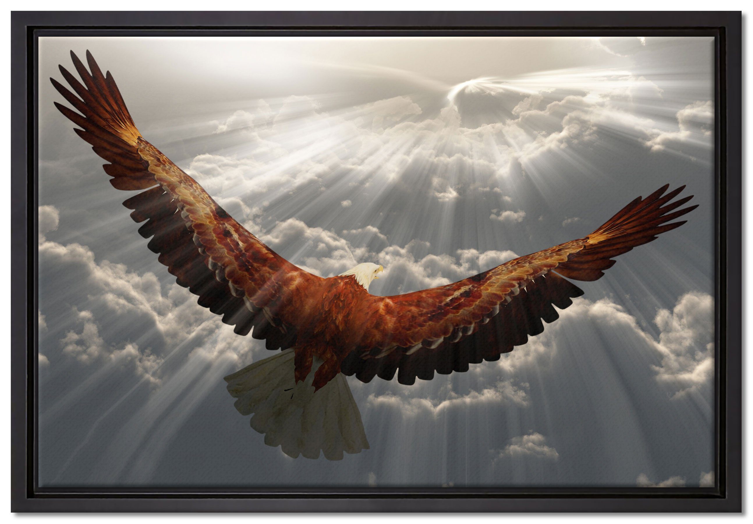 Pixxprint Leinwandbild Adler über den Wolken, Wanddekoration (1 St), Leinwandbild fertig bespannt, in einem Schattenfugen-Bilderrahmen gefasst, inkl. Zackenaufhänger