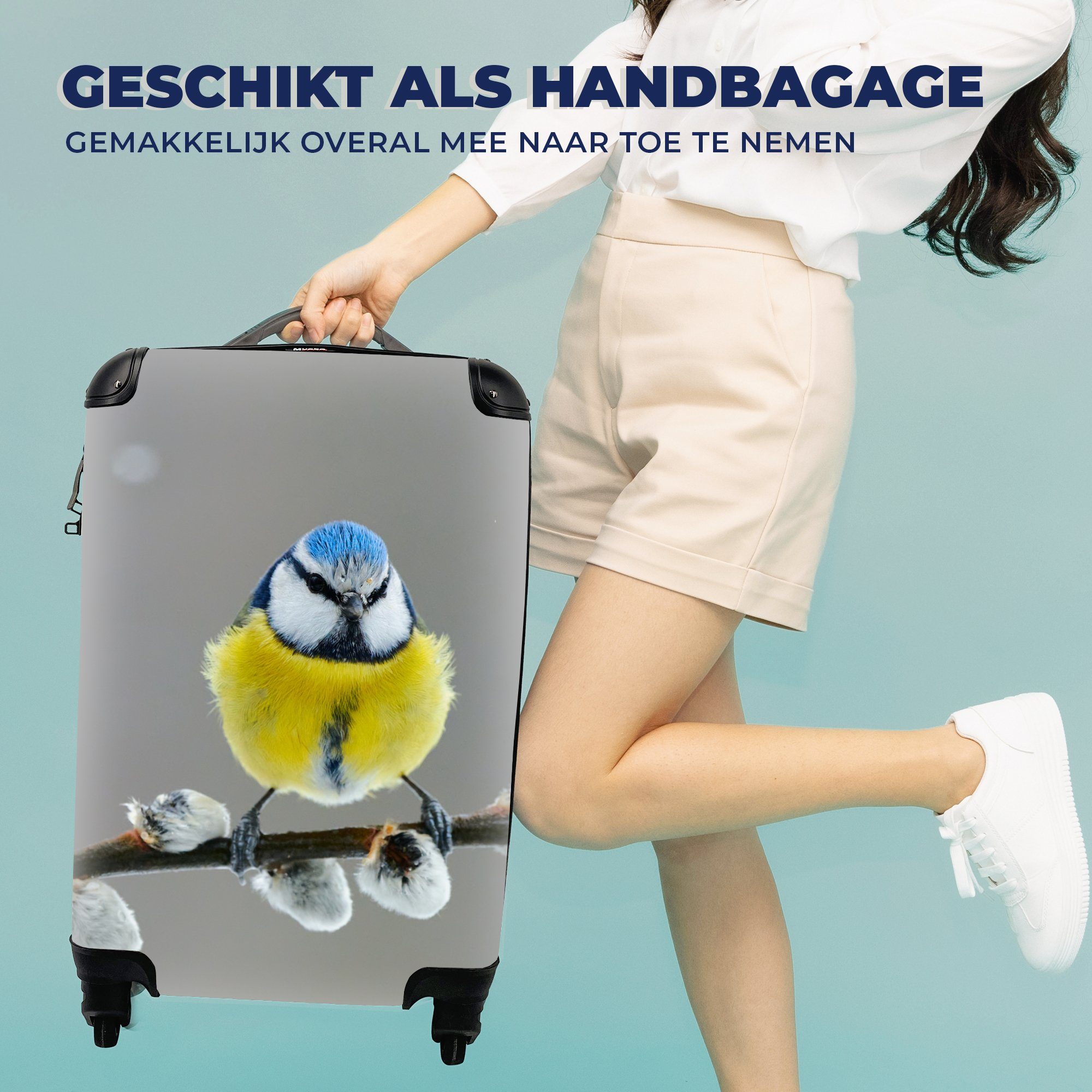 MuchoWow Handgepäckkoffer - - Reisetasche für Ferien, mit Gelb - Rollen, Trolley, Zweig Reisekoffer Blaumeise Blau, Handgepäck rollen, - 4 Vogel