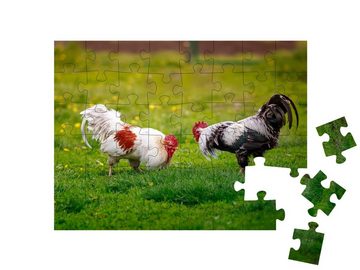 puzzleYOU Puzzle Zwei dominante Hähne, bereit zum Kampf, 48 Puzzleteile, puzzleYOU-Kollektionen Hähne, Bauernhof-Tiere