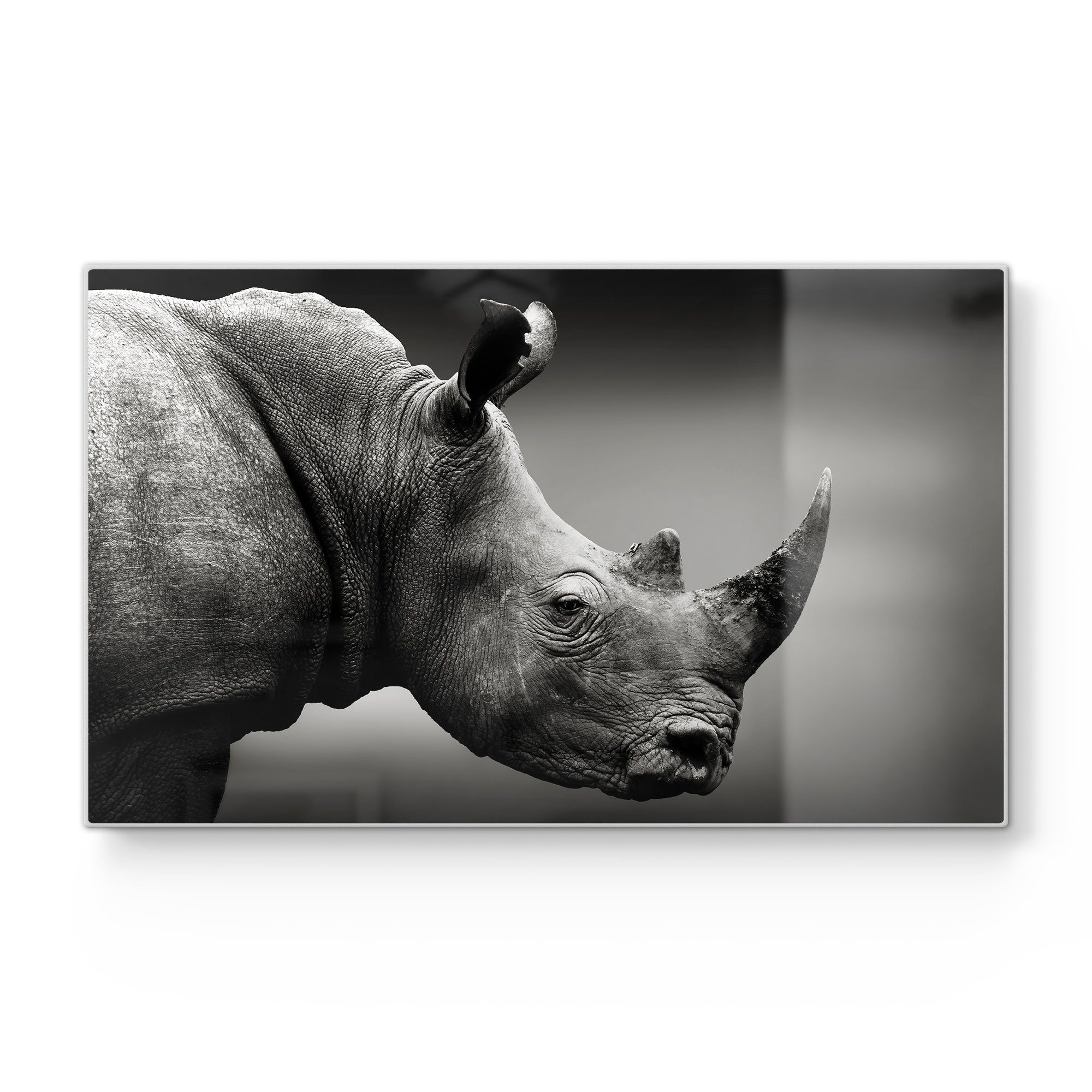 DEQORI Schneidebrett 'Nashorn im Profil', Glas, Platte Frühstücksbrett Schneideplatte