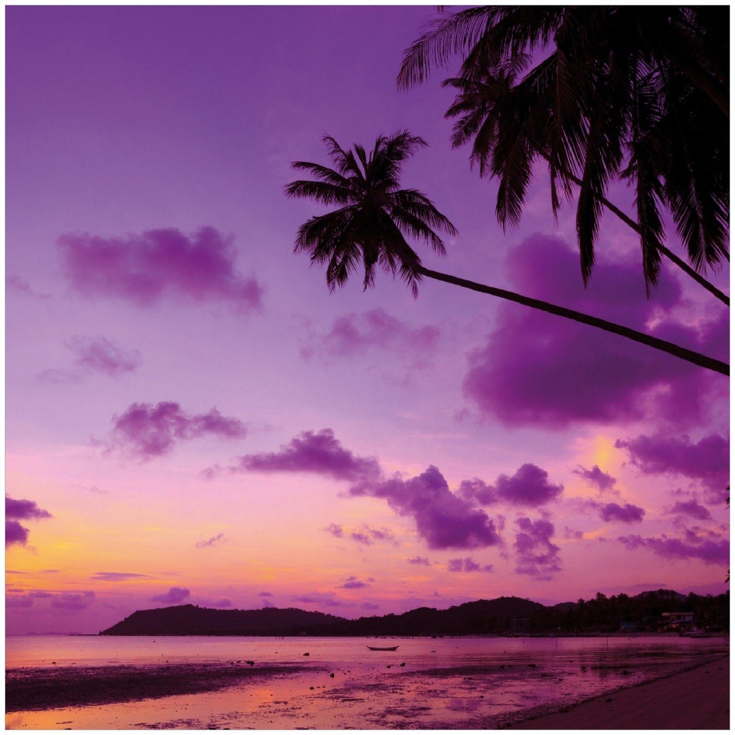 Wallario Memoboard Sonnenuntergang unter Palmen Himmel in lila und orange