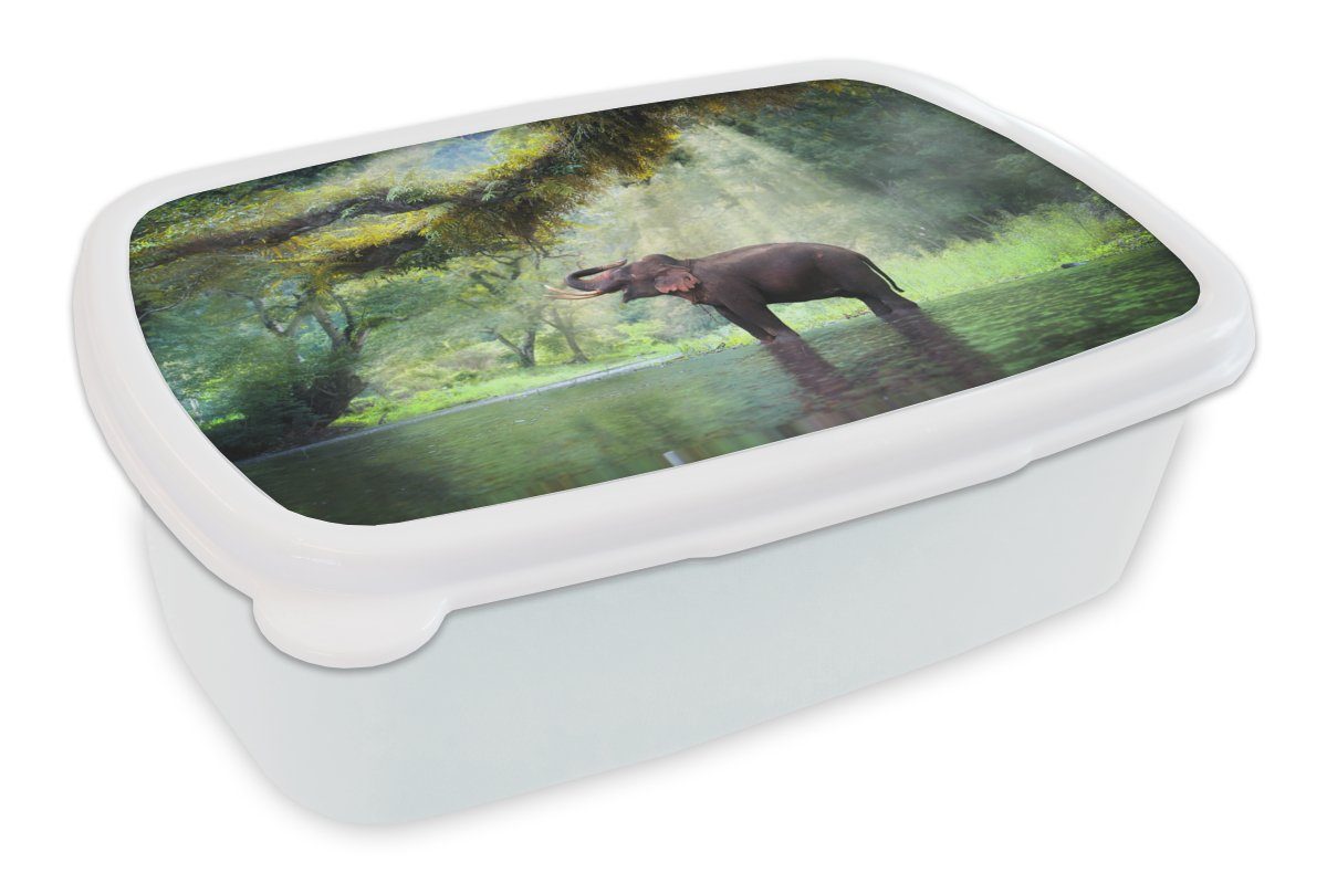 und Brotbox Kinder Dschungel Wasser, Kunststoff, Erwachsene, Jungs weiß MuchoWow Lunchbox und Mädchen Elefant Brotdose, (2-tlg), - für für -