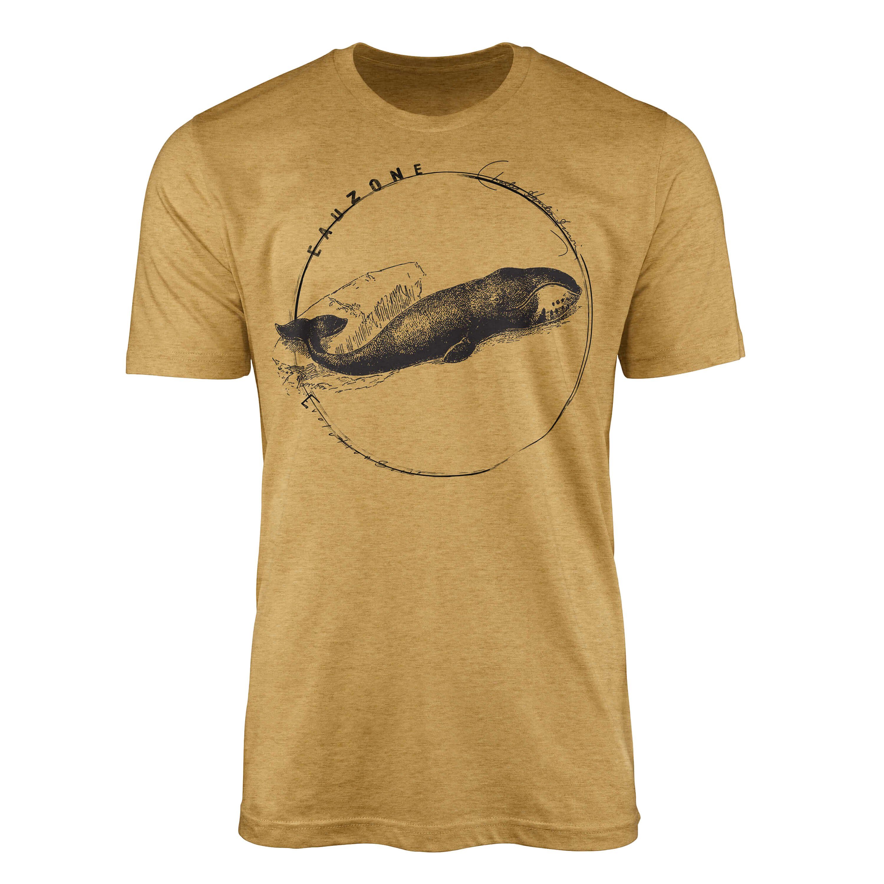 Sinus Art T-Shirt Evolution Herren T-Shirt Grönlandwal Antique Gold