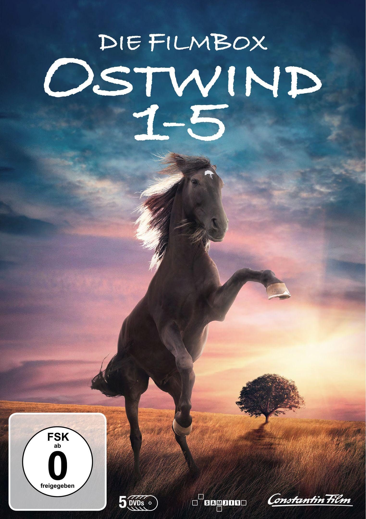DVD Ostwind 1-5