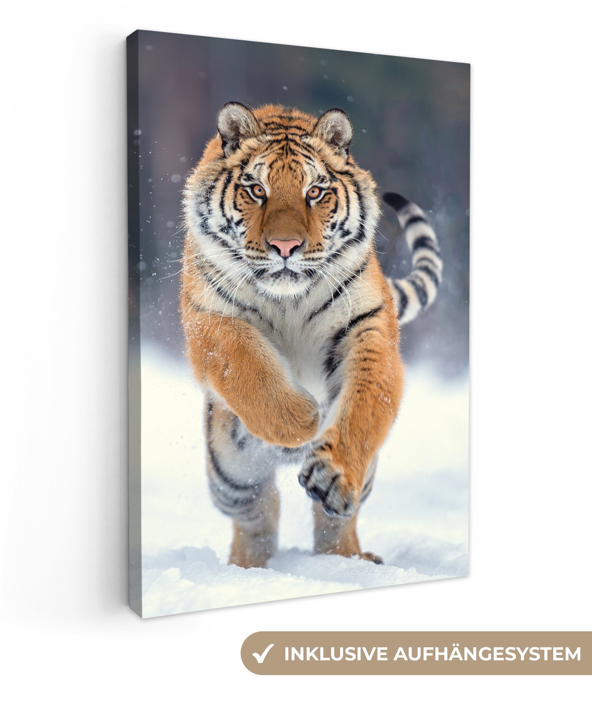 OneMillionCanvasses® Leinwandbild Tiger - Landschaft - günstig online kaufen