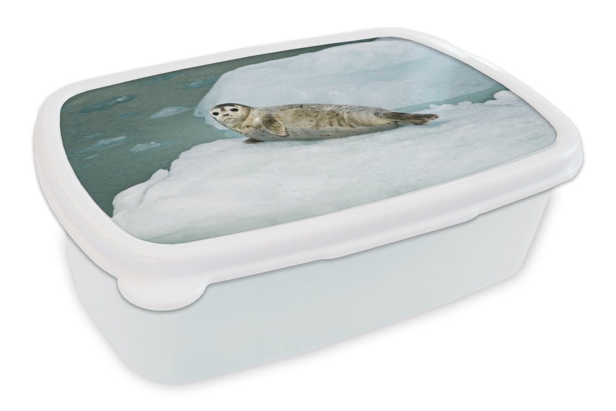 MuchoWow Lunchbox Robbe - Meer Kunststoff, Erwachsene, für Brotbox - (2-tlg), und für Jungs und Brotdose, Eis, weiß Kinder Mädchen