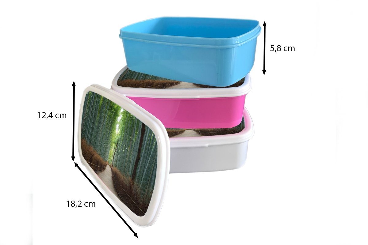Kunststoff, für für - Weg Erwachsene, weiß Brotbox MuchoWow Brotdose, - und Mädchen Wald, Bambus und Kinder Jungs Lunchbox (2-tlg),