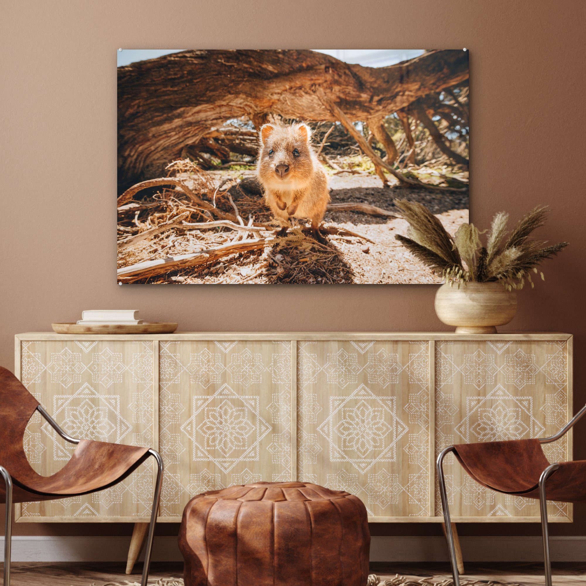 Quokka, Wohnzimmer (1 Acrylglasbilder MuchoWow St), & Acrylglasbild Schlafzimmer Wilder