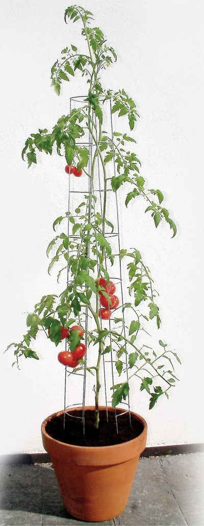Bellissa Rankhilfe Bellissa Tomatenturm 120cm 120 cm hoch