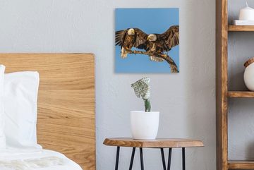 OneMillionCanvasses® Leinwandbild Vogel - Äste - Adler - Raubvögel - Luft, (1 St), Leinwand Bilder für Wohnzimmer Schlafzimmer